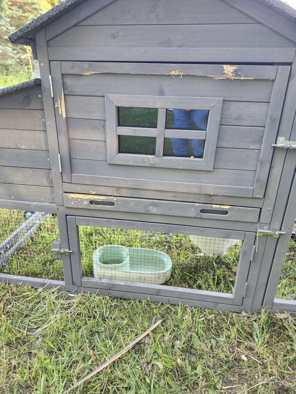 Aivituvin Chicken Coop Expandable Mobile Chicken House for Outdoor with Wheels, Nesting Box, Leakproof Pull-on Tray and UV-Resistant Roof Panel (Red) customer photo 1