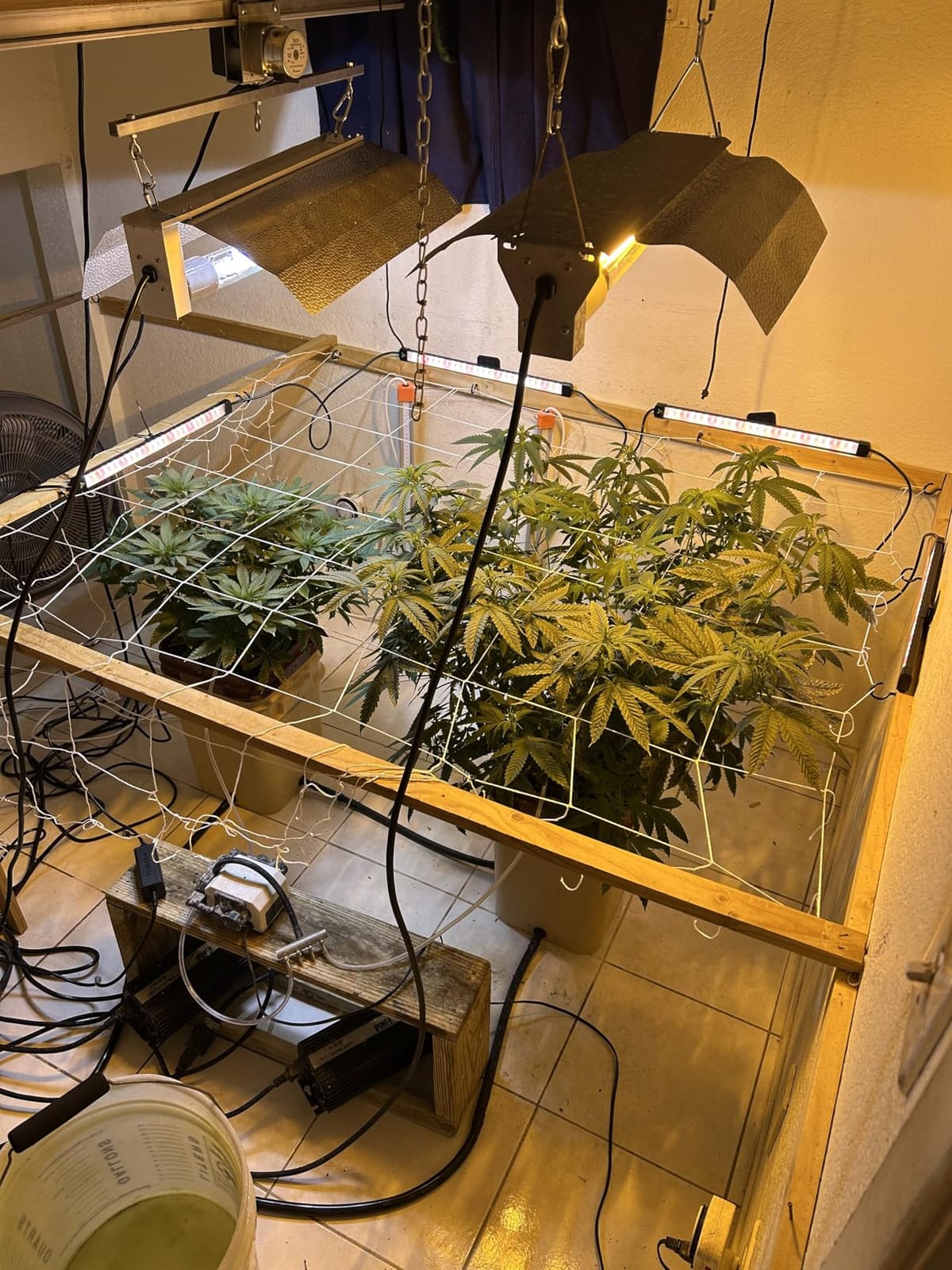 VIVOSUN LumaRay LED Grow Light Bars 16”(4-Bar) Full Spectrum Side Lighting customer photo 2