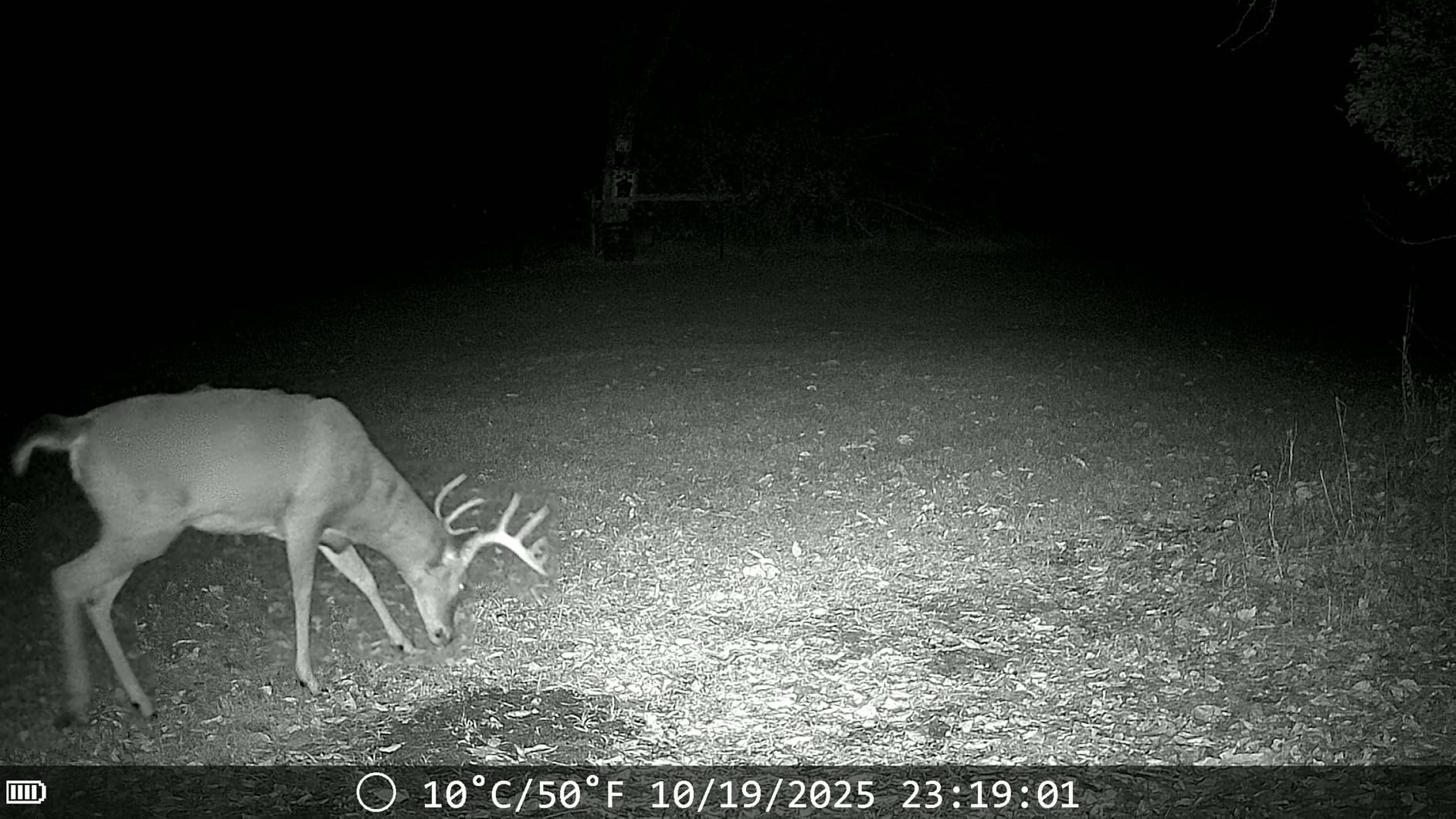Trail Cameras with Night Vision Motion Activated - WiFi Bluetooth 4K 64MP customer photo 2