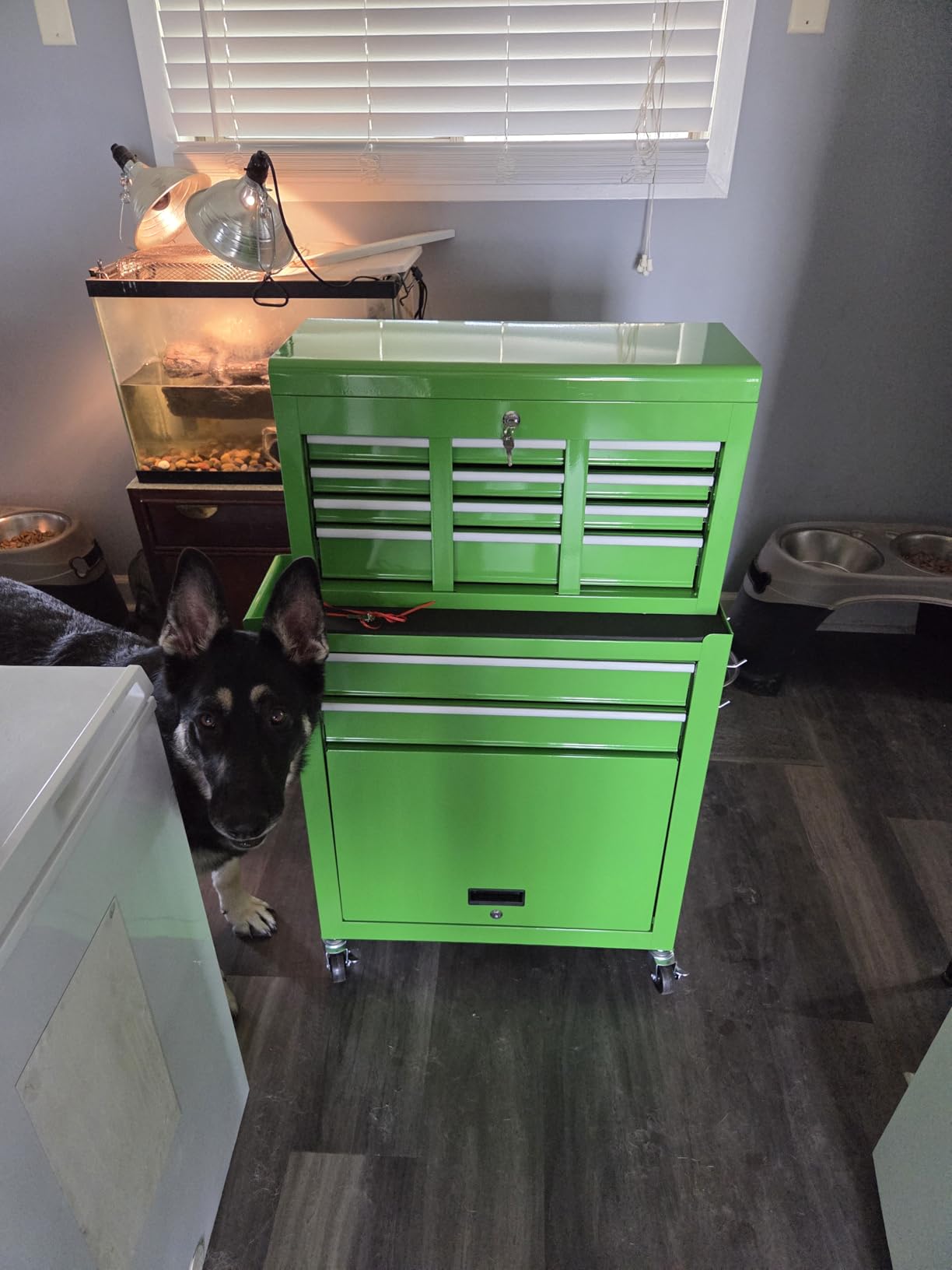 Dawmilon Tool Chest, 8-Drawer Rolling Tool Storage Cabinet with Wheels, Detachable Top Tool Box, and Locking Mechanism, Metal Barber Tool Cart with Liner and 6 Hooks for Garage, Workshop, Green customer photo 1