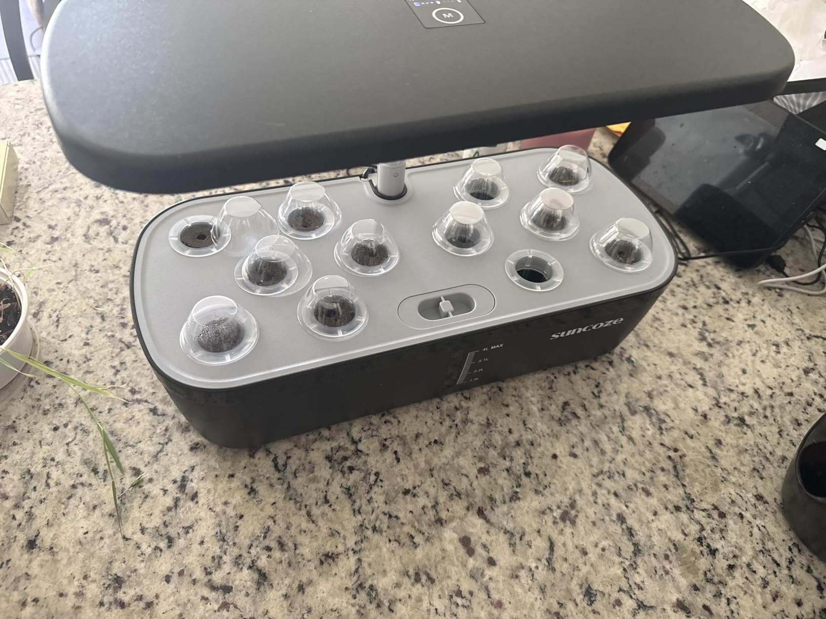 SUNCOZE Hydroponics Growing System, 12 Pods, 12.4 in Adjustable Height customer photo 2