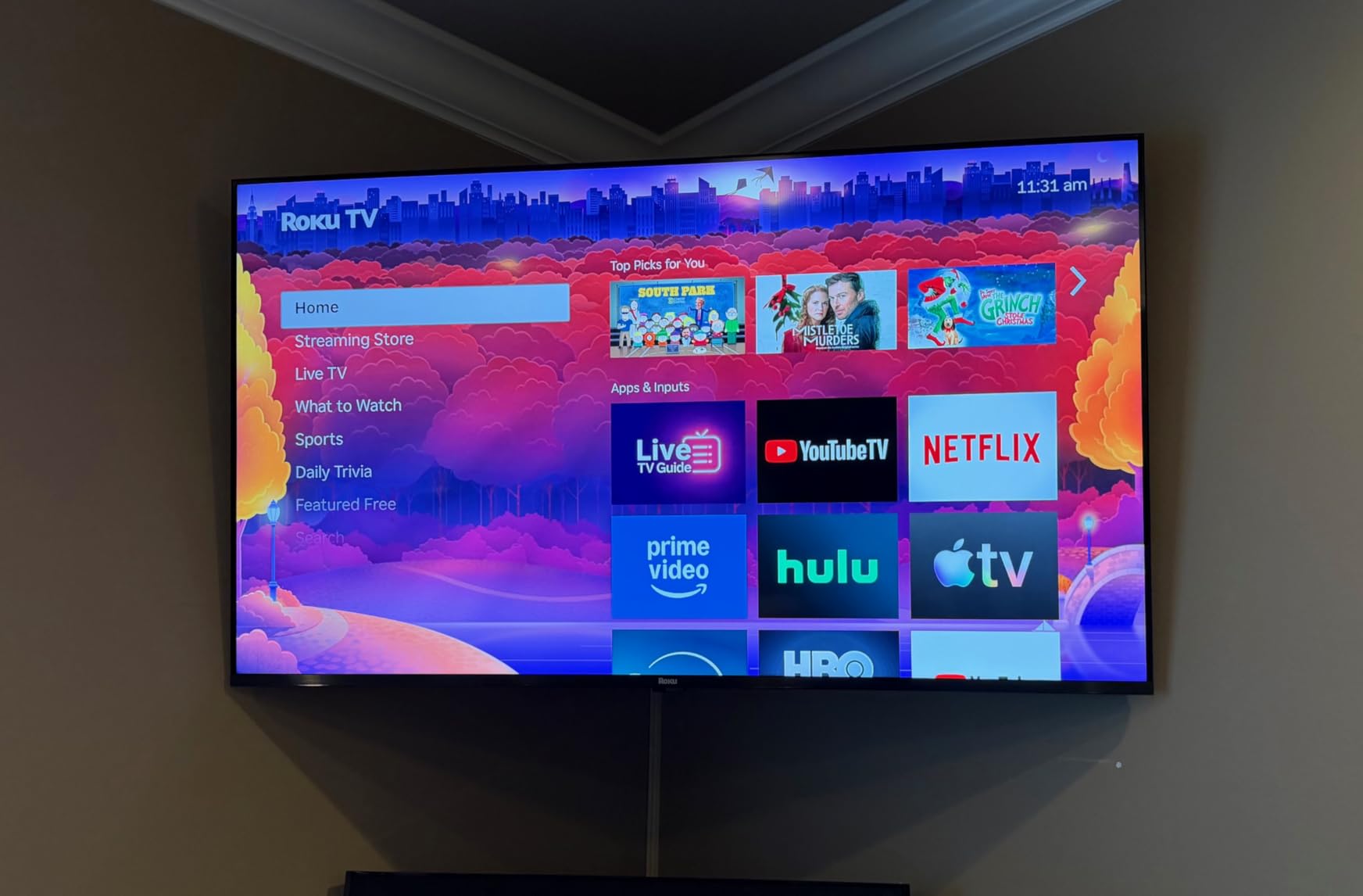 Roku 65-Inch Plus Series Smart TV - 4K QLED Mini-LED TV - RokuTV customer photo 1