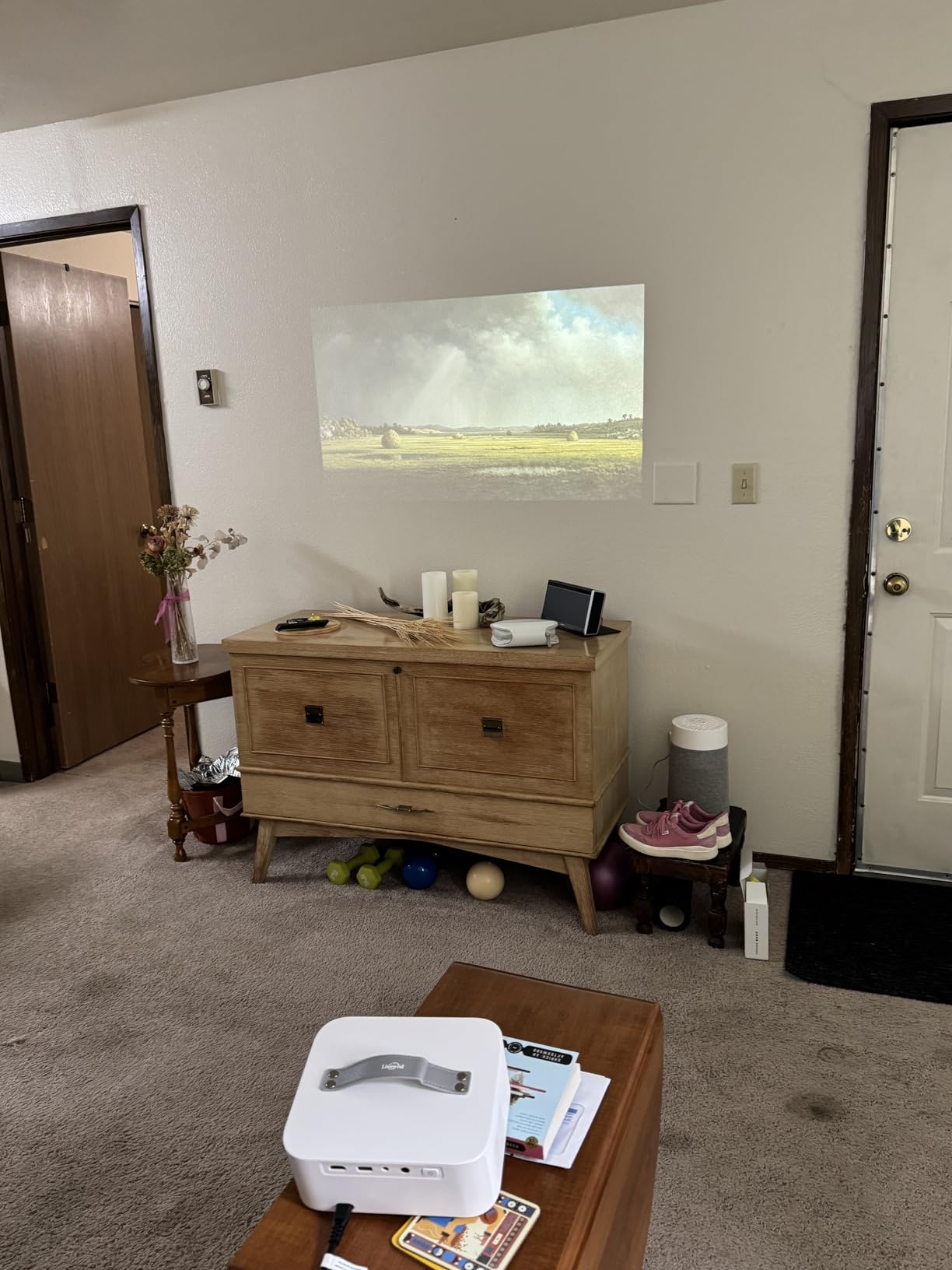 Portable-Outdoor-Projector with WiFi &Bluetooth, 50W Dolby Audio Proyector customer photo 1