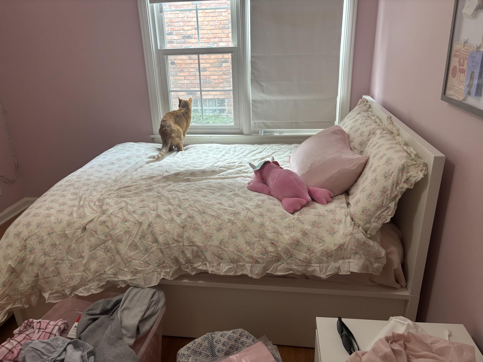 mixinni Pink Floral Duvet Cover Set Queen Size - 100% Cotton Ruffle Lace Bedding Set for Girls, Romantic Cottagecore Style Duvet Cover with Zipper Closure, Soft Aesthetic Princess Bedding-Queen customer photo 2