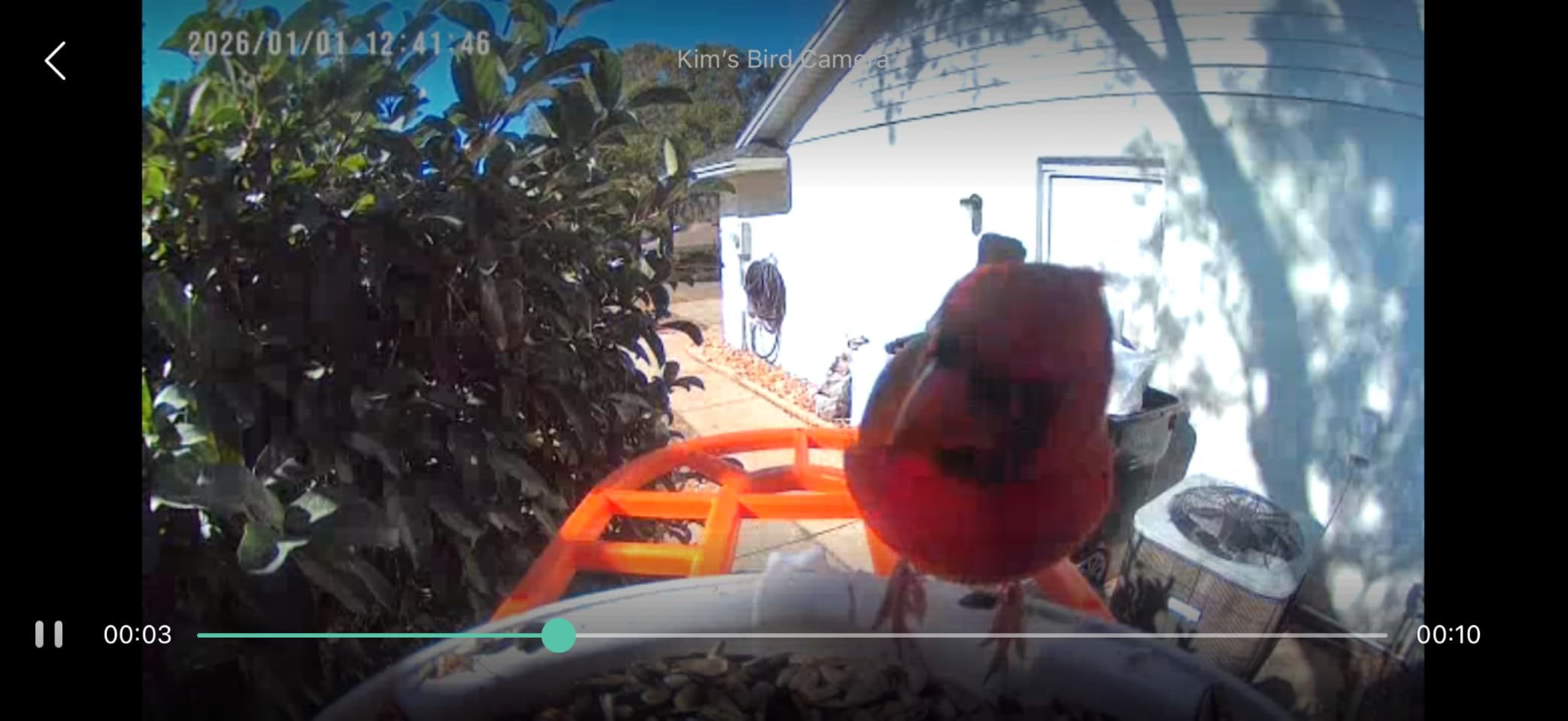 HARYMOR Bird Feeder with Camera, 2K Live Video, AI Identify Bird Species customer photo 1
