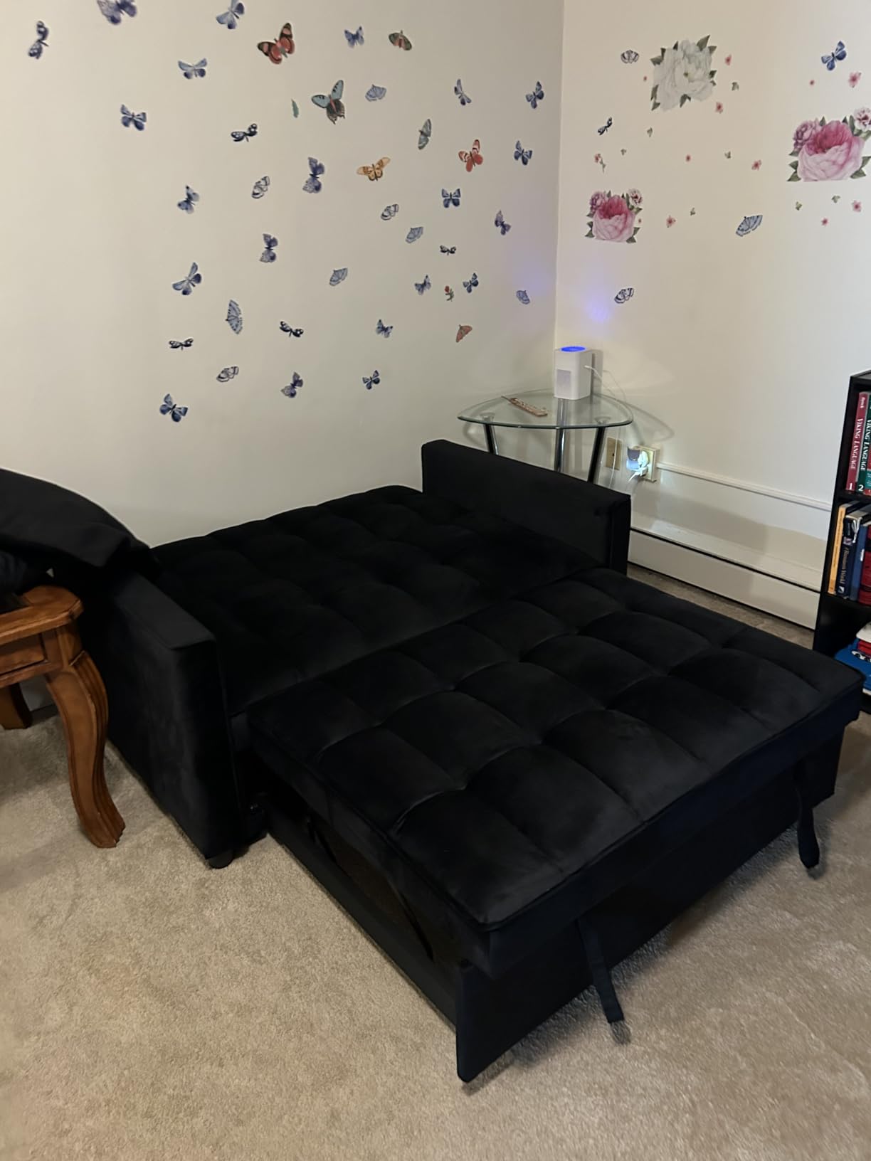 3 in 1 Convertible Sleeper Sofa Bed, Futon Couches for Living Room with Side Pocket/Adjustable Backrest, Velvet Upholstered Pull Out Couch, Small Loveseat Sofa Bed for Bedroom Office Small Spaces customer photo 2