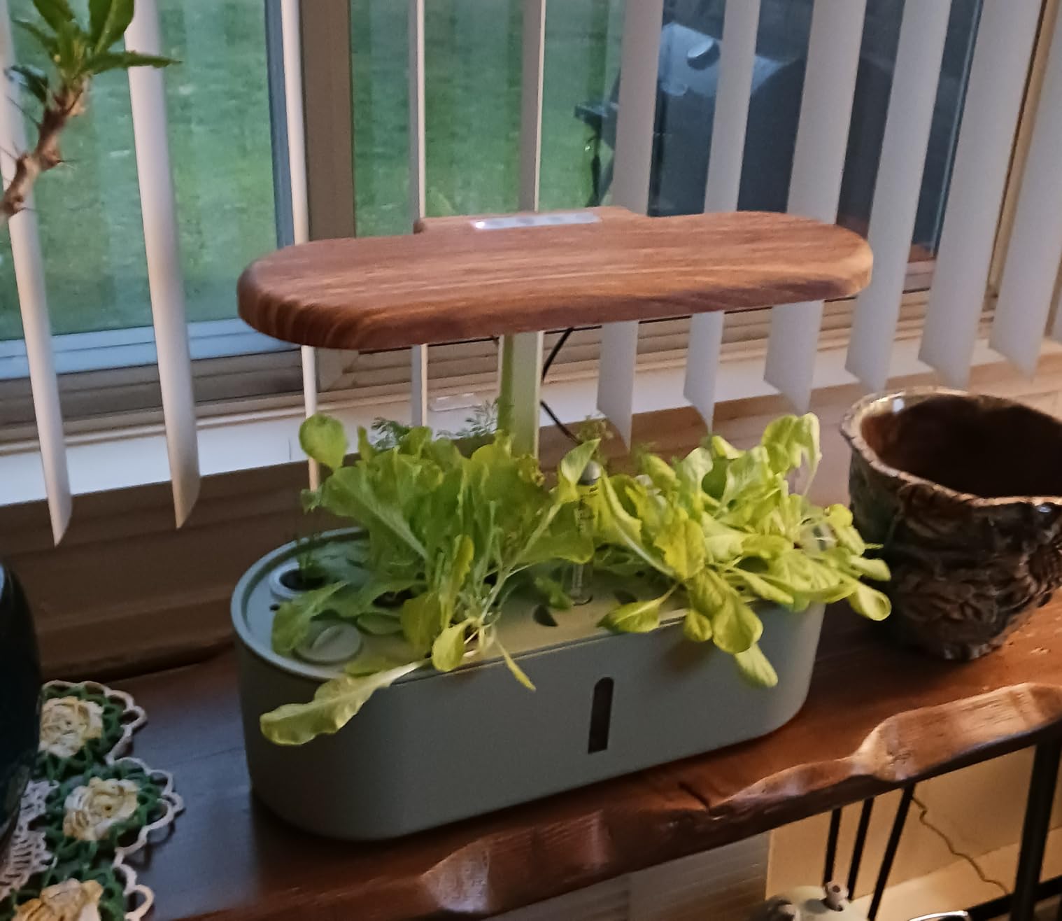 Hydroponics Growing System Indoor Garden: 12 Pods Hydroponic Planter customer photo 1