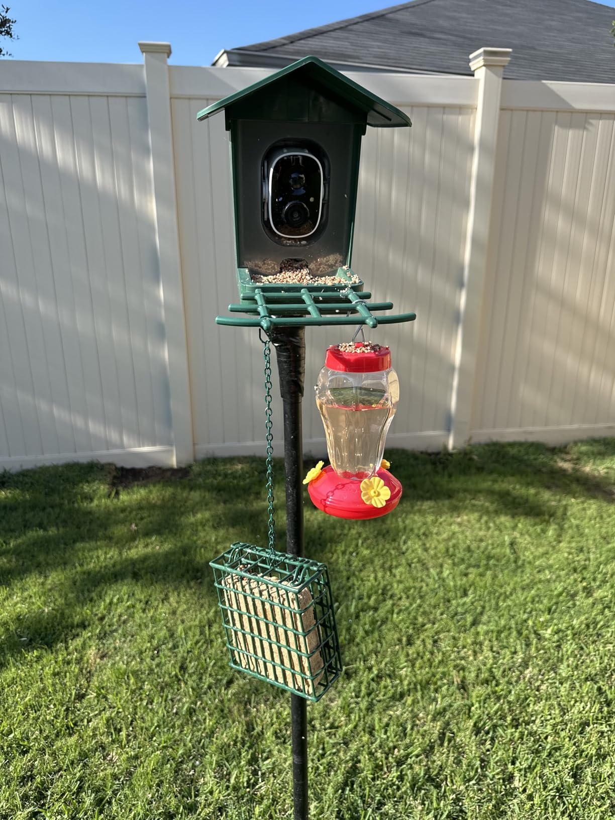 PeckCam® Bird Feeder with Camera Solar Powered 2K Live Video Auto Capture customer photo 1