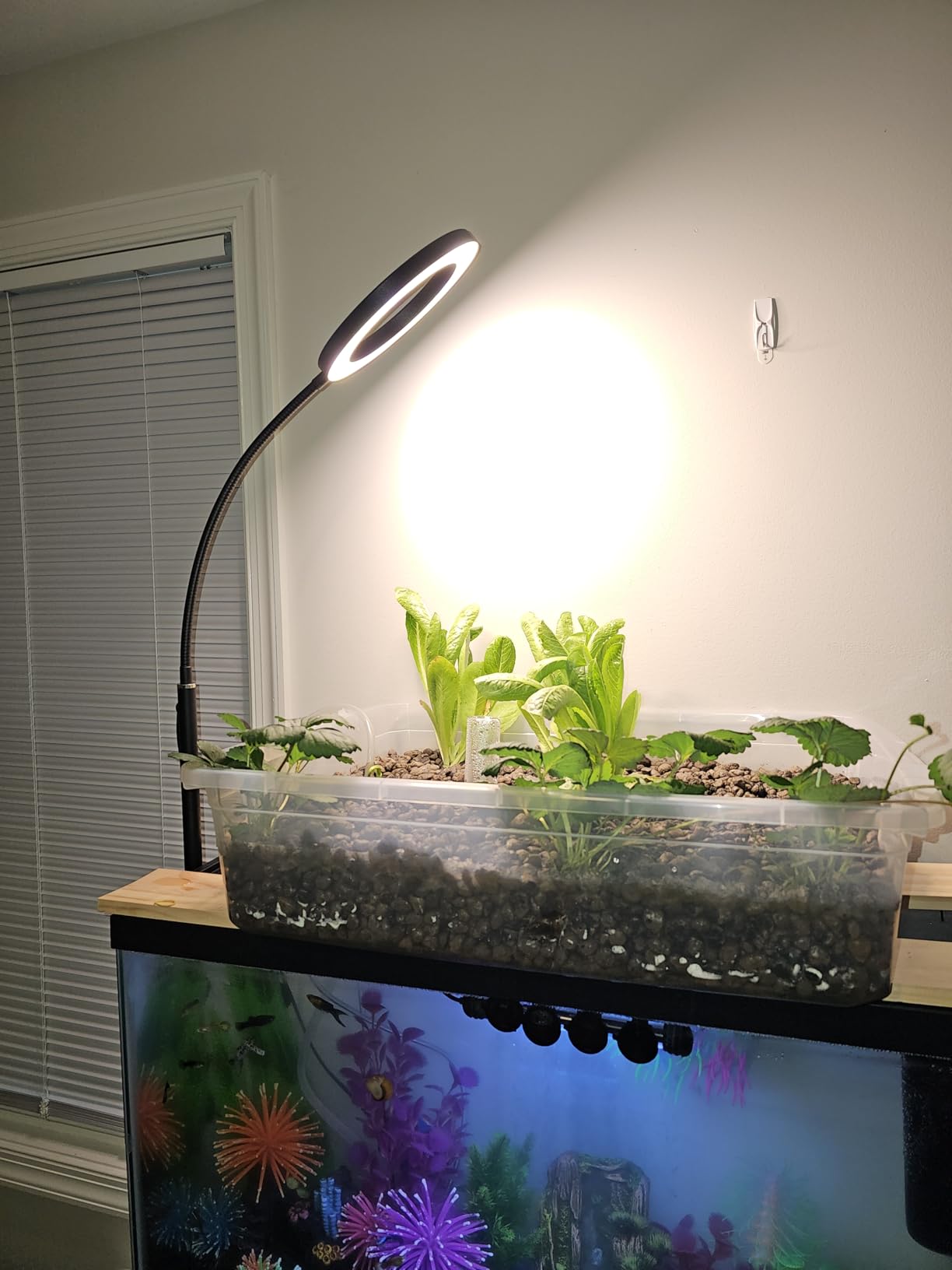 GLOWRIUM Tall Plant Grow Light for Indoor Plants, Full Spectrum Plant Light customer photo 1