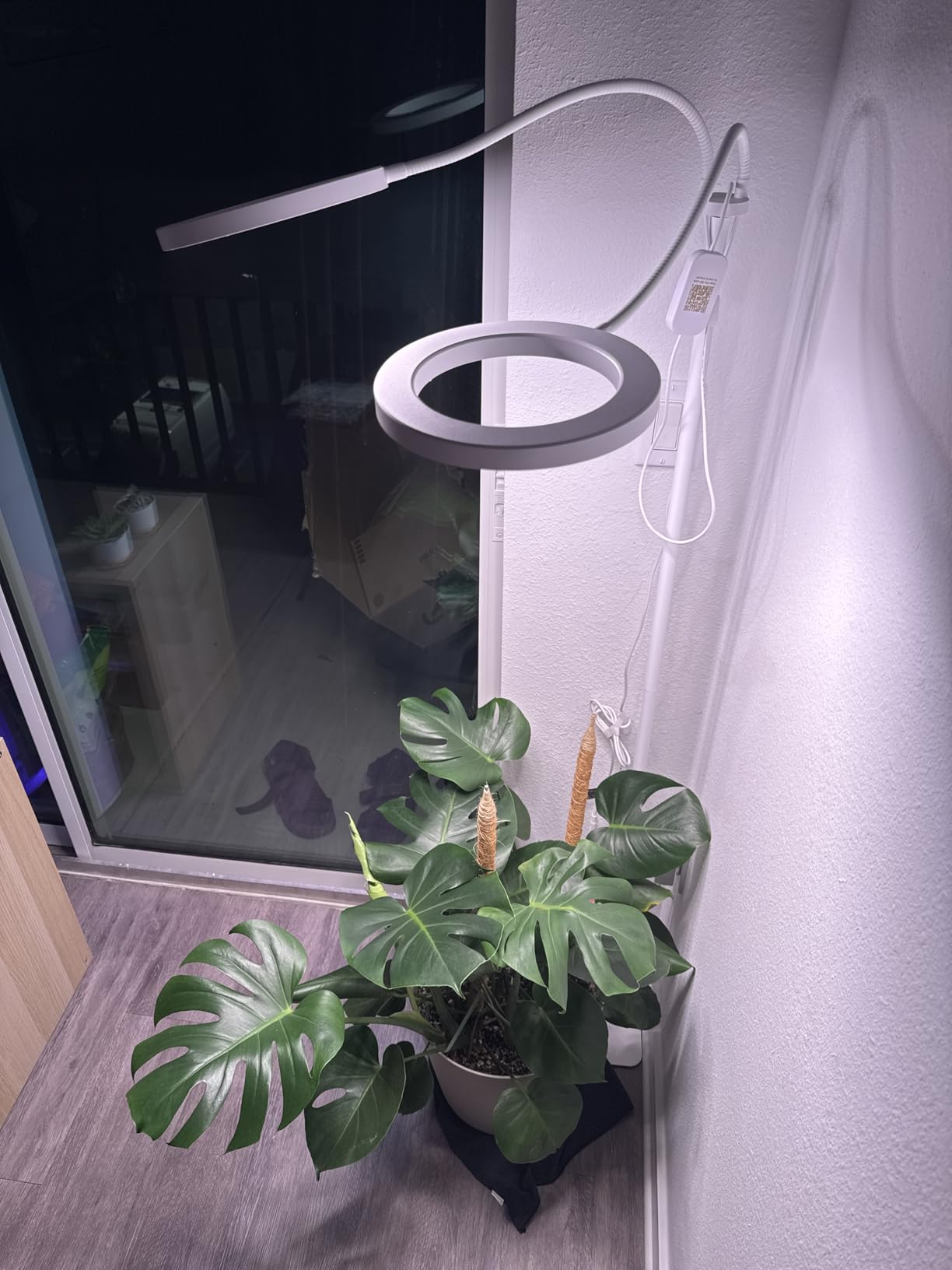 GLOWRIUM Tall Plant Grow Light for Indoor Plants, Full Spectrum Plant Light customer photo 2