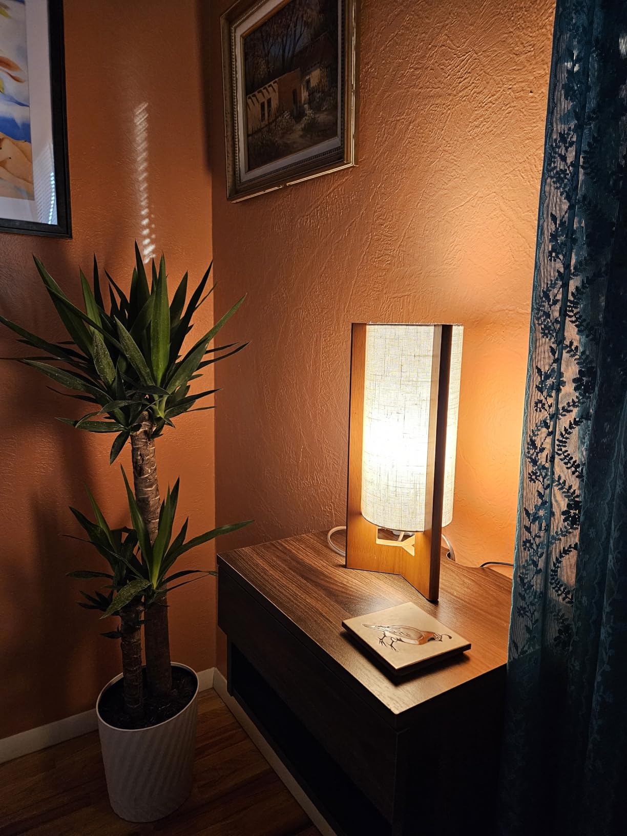 EDISHINE 13.5
