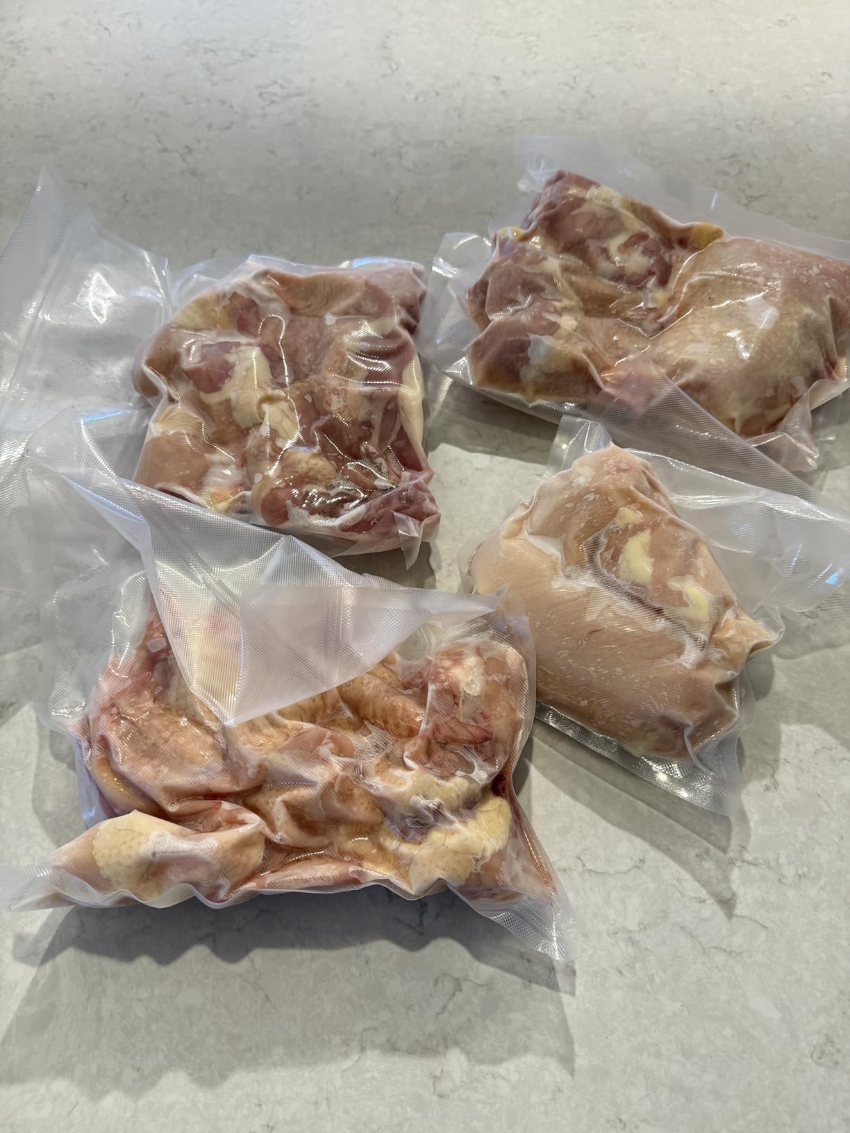 Gasbye Chamber Vacuum Sealer – 5.3QT Large Chamber, Replaceable 11.5