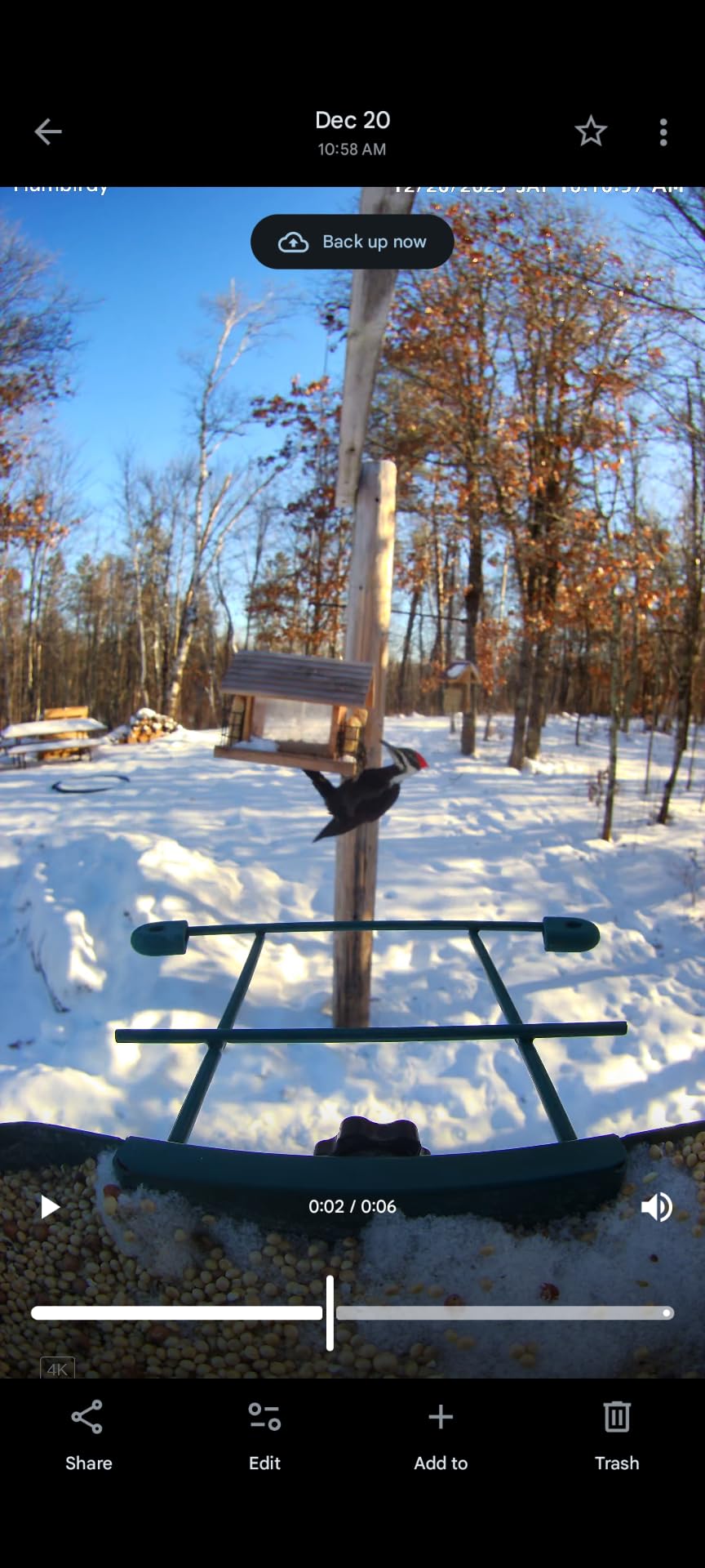 4K Smart Bird Feeder with Camera,No Subscription,Solar Powered customer photo 1