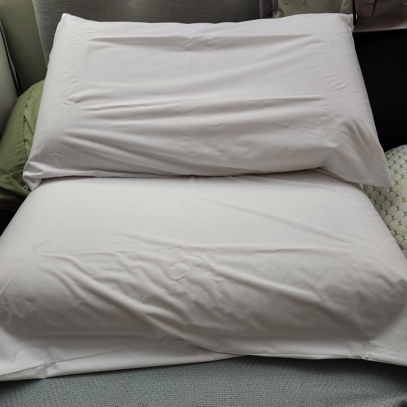 Protect-A-Bed AllerZip Waterproof Pillow Protectors, Standard (2 Pack) | Six-sided waterproof zippered protection helps block bed bugs dust mites and spills, quiet and machine washable customer photo 1