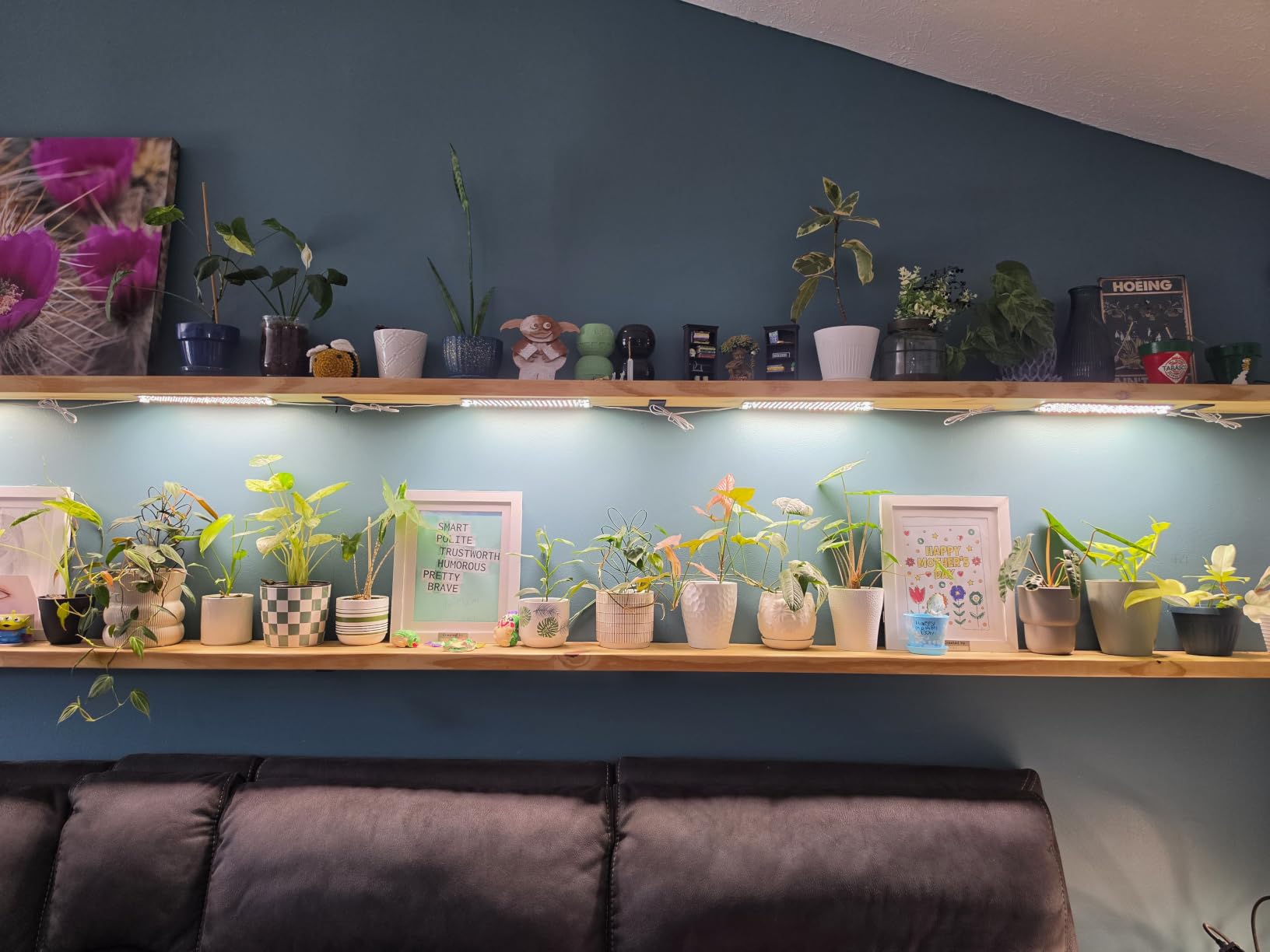 SDOVUERC Full Spectrum Grow Panel Lights for Indoor Plants and Shelves. customer photo 2