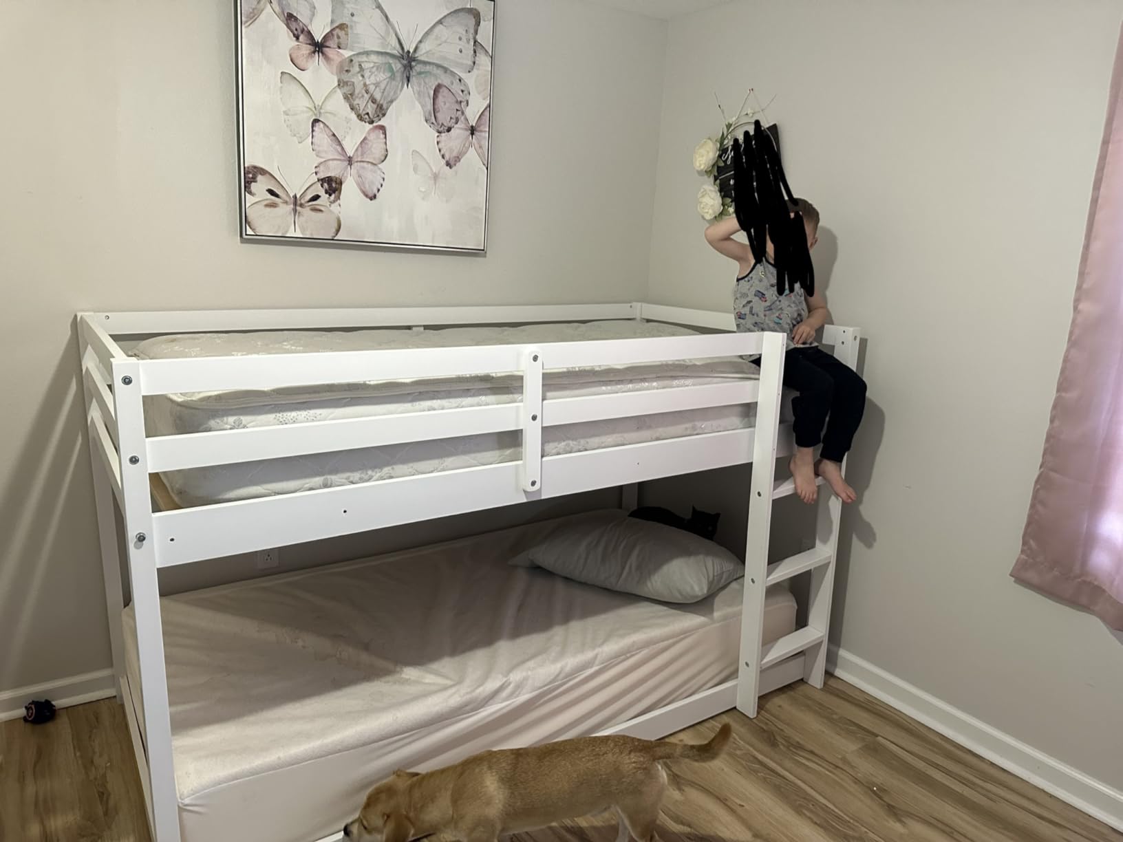 Low Bunk Bed Twin Over Twin, Solid Wood Floor Bunk Bed Frame with Ladder & Safety Guardrails, Twin Bunk Beds for Kids Boys and Girls, Saving Space, No Box Spring Needed, Gray customer photo 2