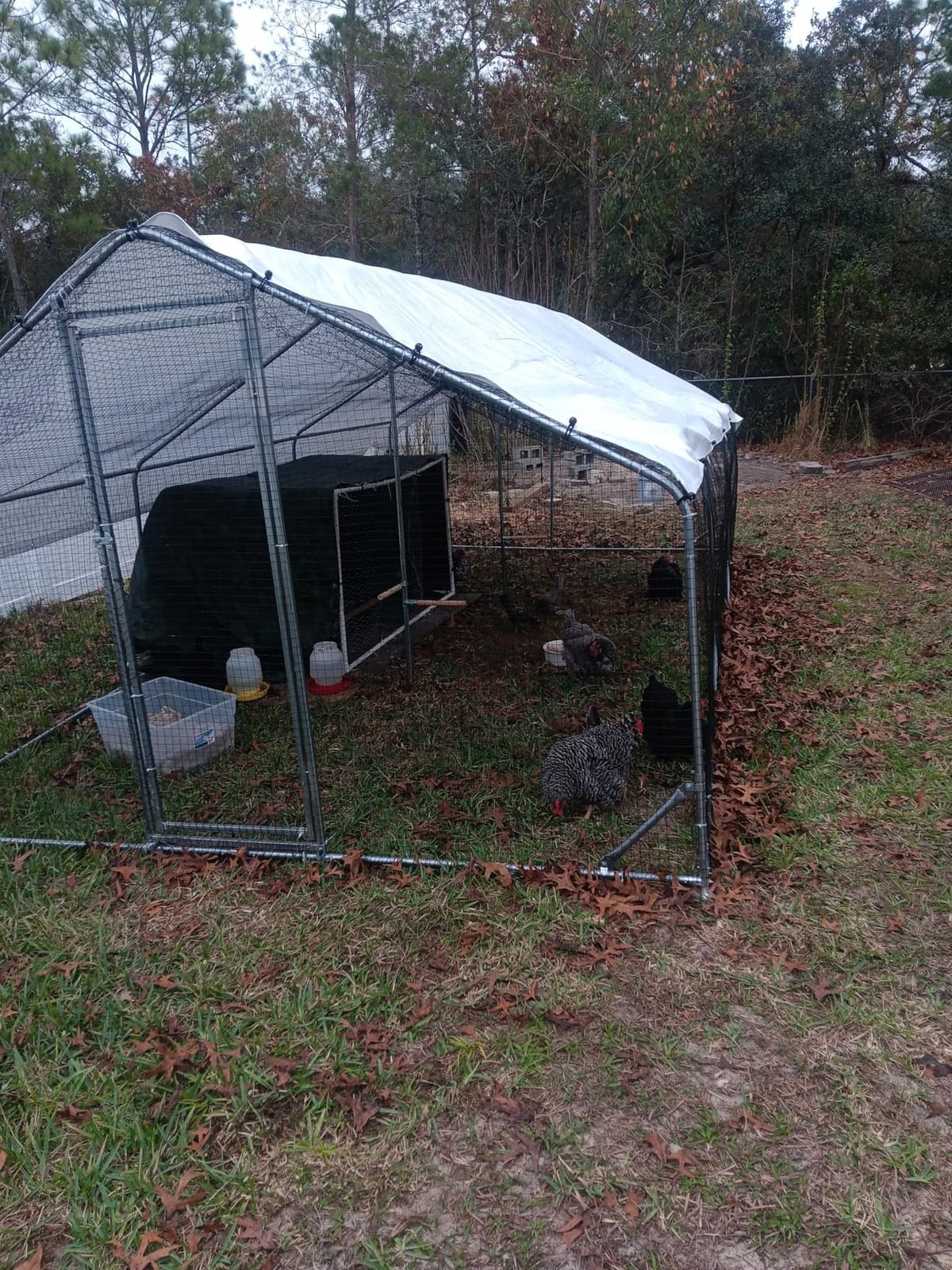 CHIKENCOOP 2-Room Metal Chicken Coop Run, Hardware Cloth, Solar Light customer photo 2
