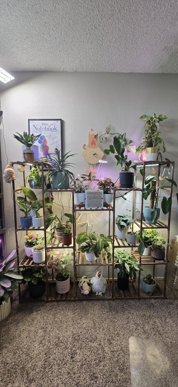 Bamworld Plant Stand with Grow Lights Large Plant Shelf Indoor Hanging Plants customer photo 1