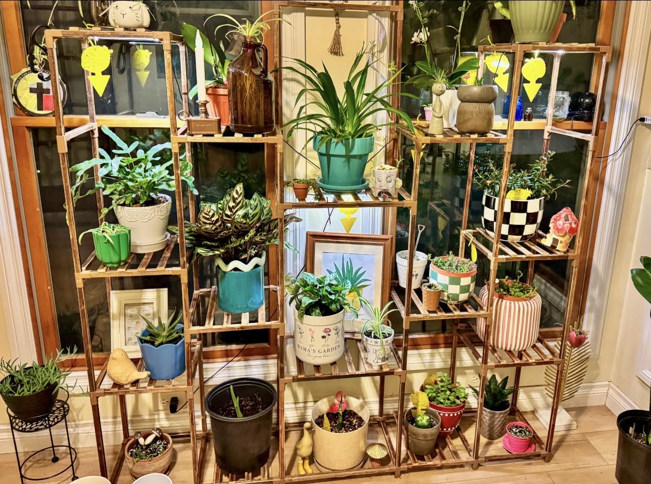 Bamworld Plant Stand with Grow Lights Large Plant Shelf Indoor Hanging Plants customer photo 2