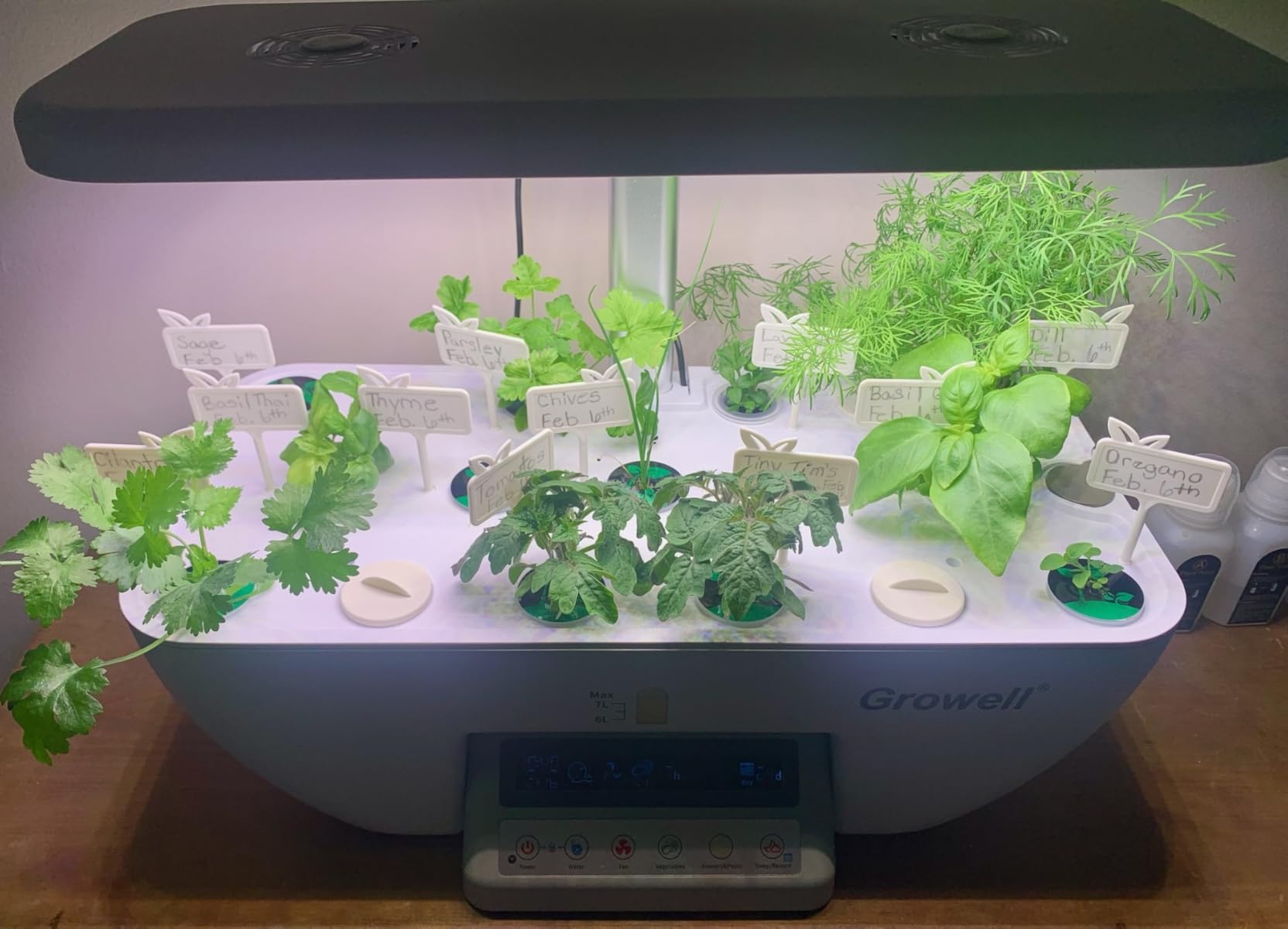 Growell 17 Pods Hydroponics Growing System Kit, Indoor Garden with 2 Fans customer photo 2