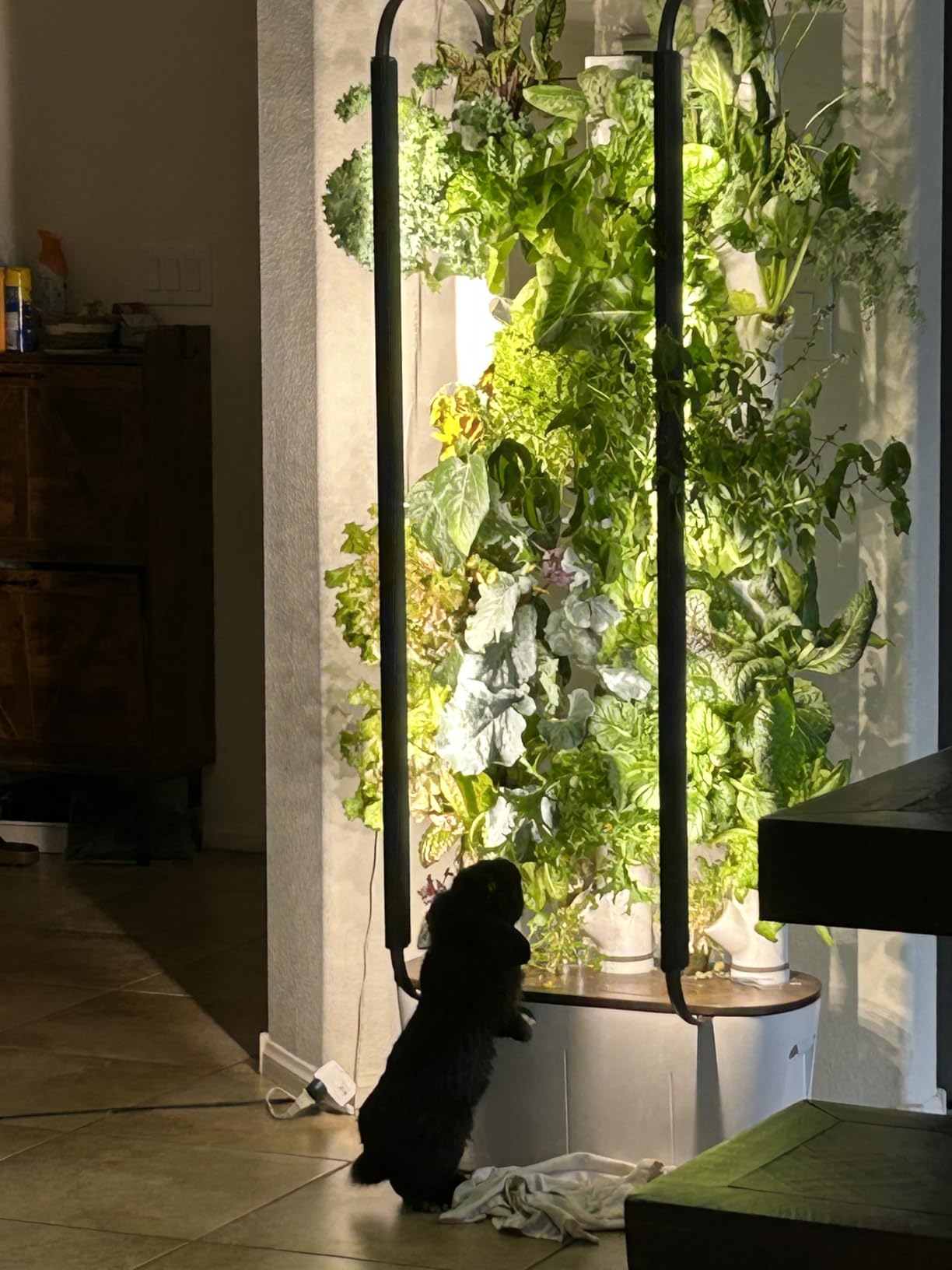 Gardyn Home 4 Vertical Hydroponics Growing System Kit - 30 Plants customer photo 2
