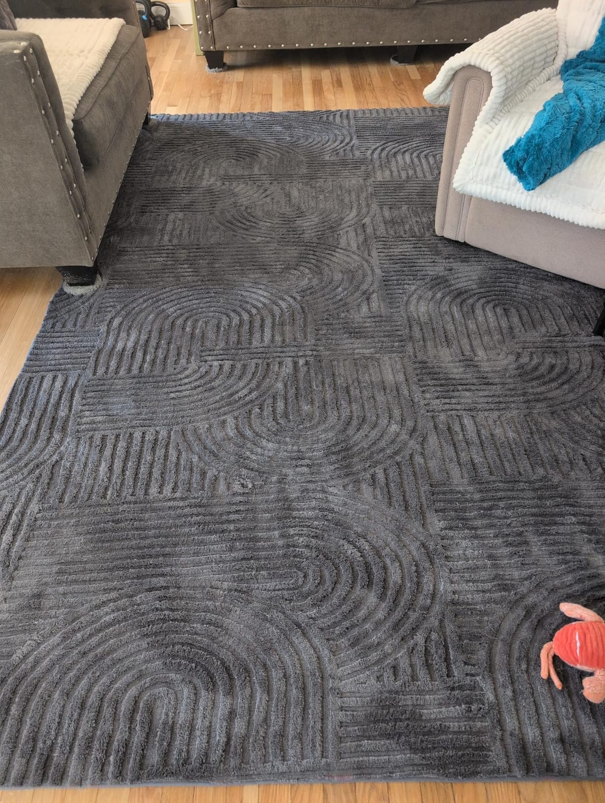 Sour Lemon Area Rugs 9x12 Living Room Bedroom, Grey Rug Large Carpet customer photo 2