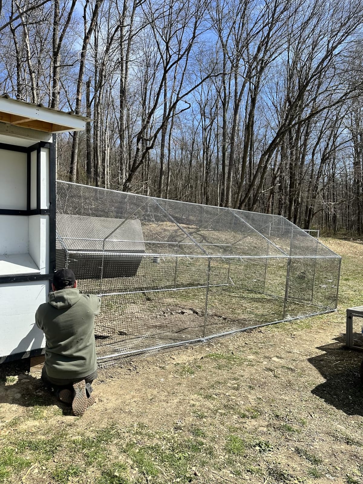 CAMMOO Walk in Chicken Coop, 9.8x6.6x6.6ft Chicken Run for Yard with Cover customer photo 2