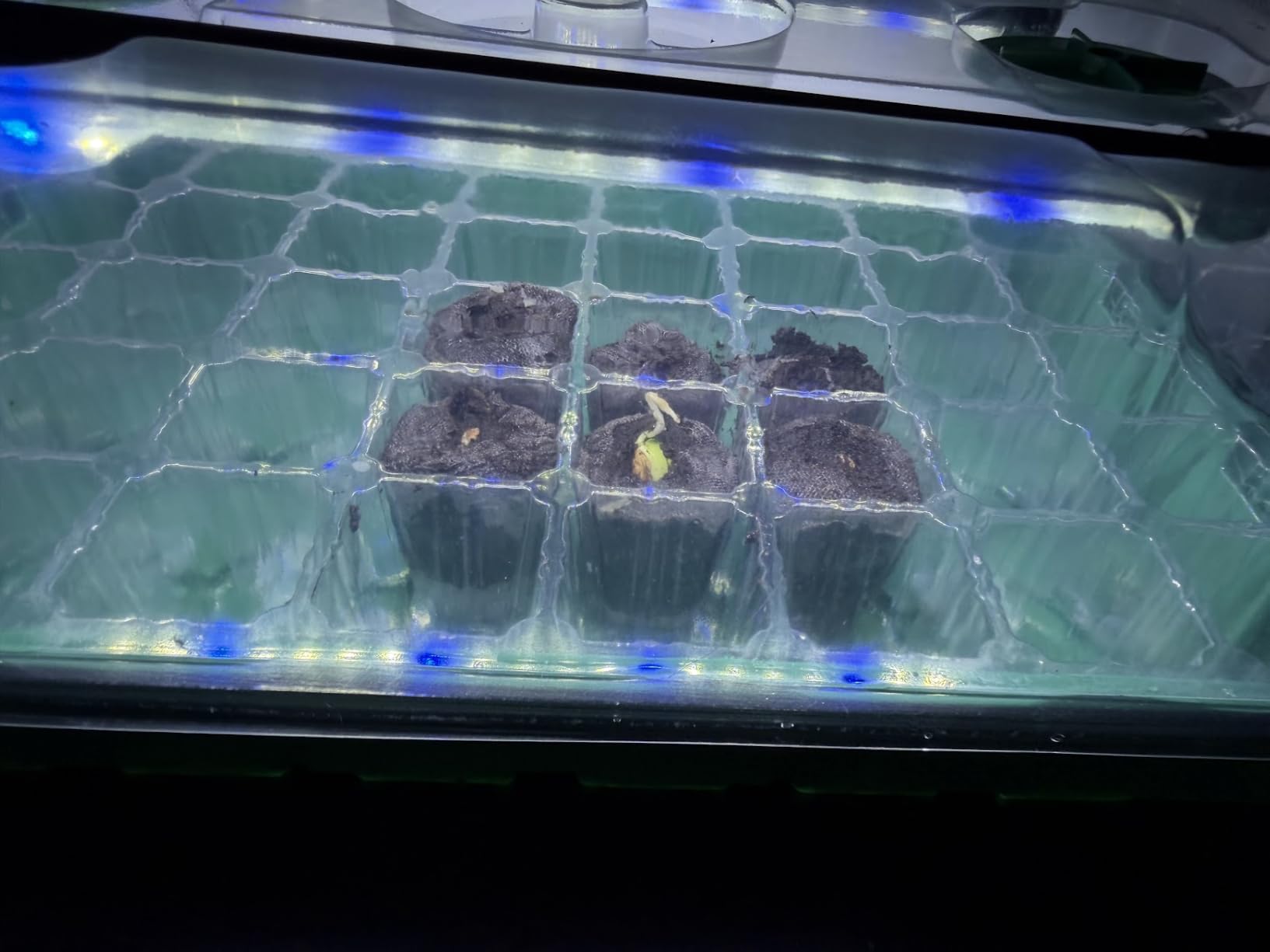 Sondiko Seed Starter Tray with Grow Light, Heated Seed Starter Kit customer photo 2