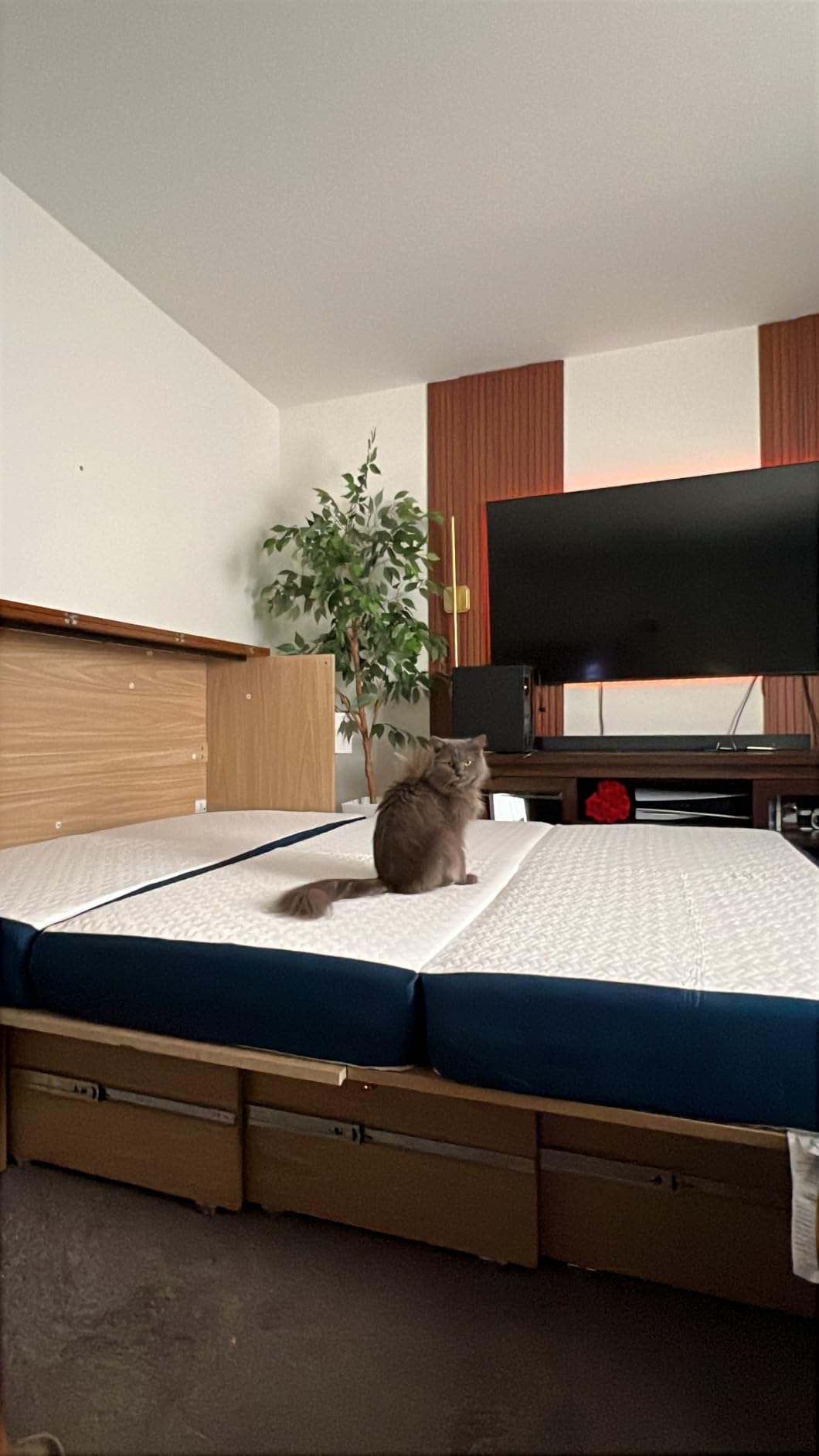 VINGLI Queen Murphy Bed with Storage Drawer, 2 Charging Station, Rustic & Scandinavian Style Foldable Bed Cabinet, Hideaway Platform Panel Bed for Small Room, Guest Room, Office, Apartment, Golden Brown customer photo 1