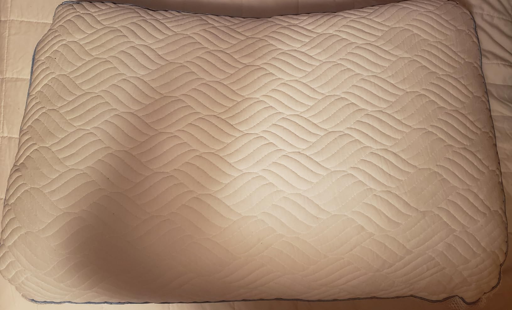 Premium Canadian Goose Down Pillow Queen Size Set of 2 Pack, 900+ Fill Power 100% Cotton Shell, Luxury Hotel Quality Bed Feather Pillow customer photo 2