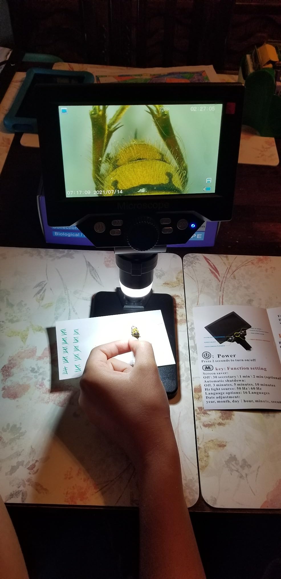 PalliPartners 40x-2000x Biological Compound Trinocular Microscope customer photo 1