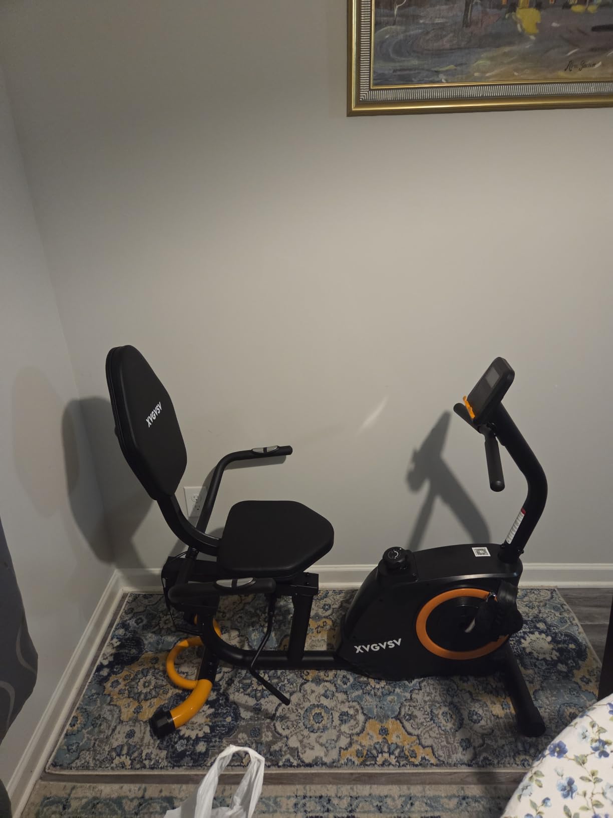 Recumbent Exercise Bike for Home, Recumbent Stationary Bikes for Seniors customer photo 2