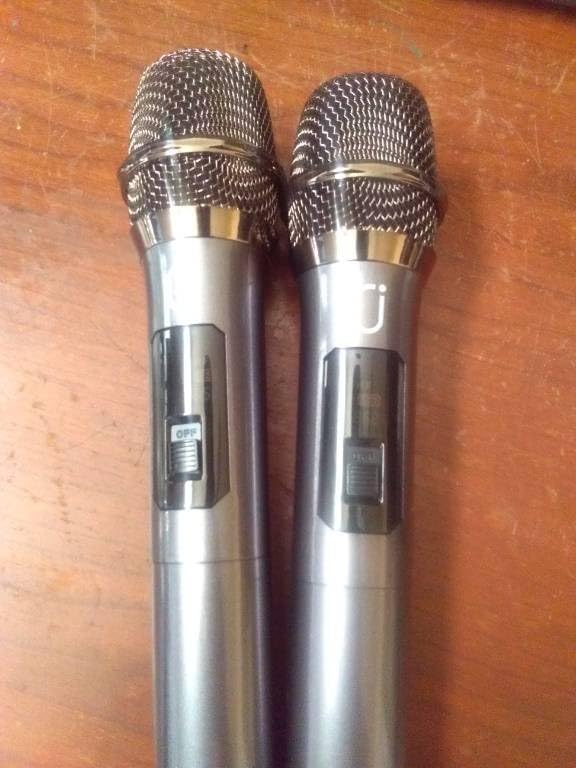 HWWR Karaoke Machine with 2 Mics for Adults & Kids, All-in-One Karaoke Set customer photo 1