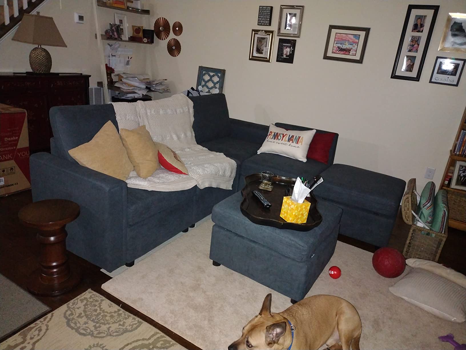 LINSY HOME Sectional Couches for Living Room, 81