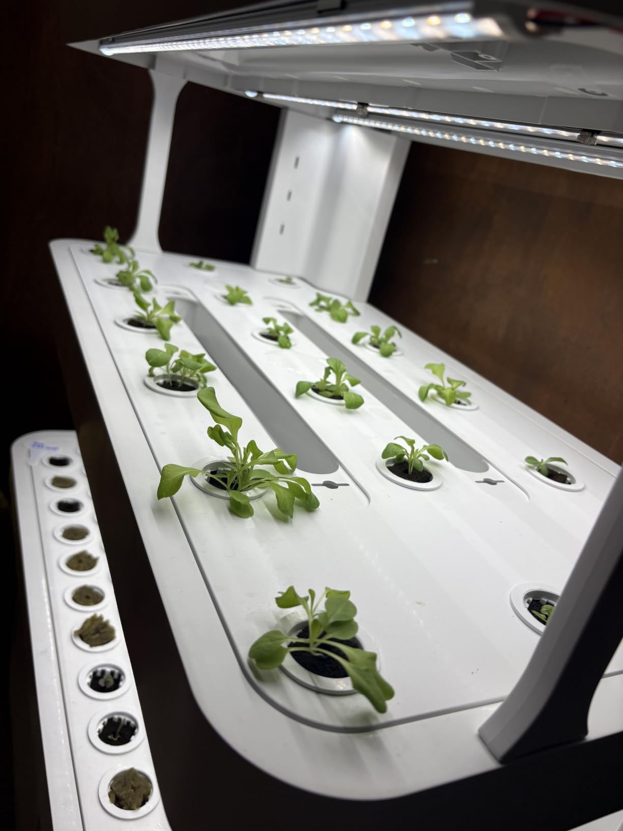 Large Hydroponics Growing System, 148-Pod Vertical Hydroponic Tower Garden customer photo 2