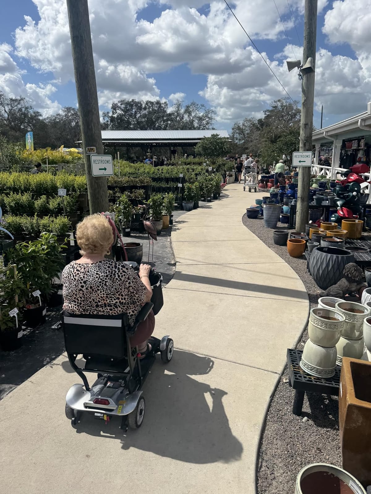 Mobility Scooter for Adults w/Lithium Battery, 43lbs, Red, 30MI customer photo 2