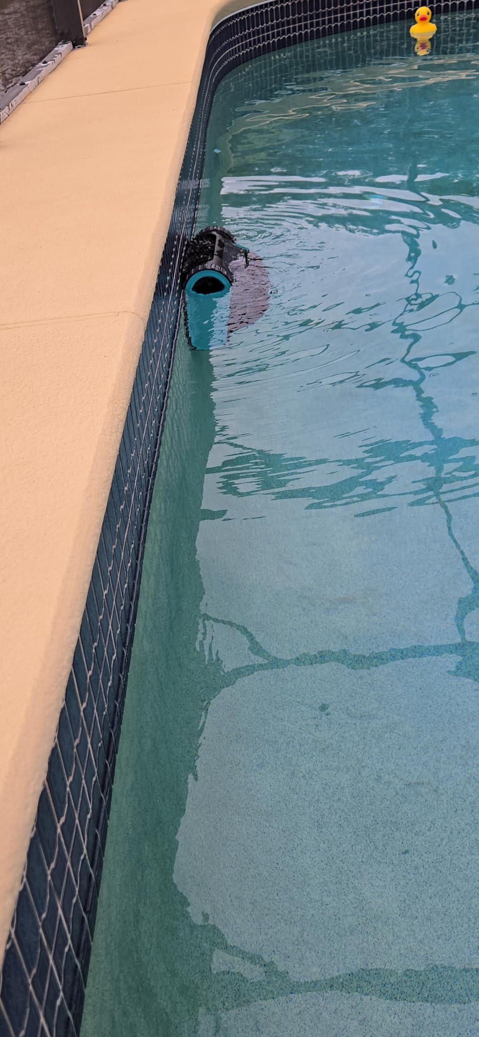 (2026 Upgrade) Aiper Scuba S1 Robotic Pool Cleaner, 270 Min Runtime, Floor/Wall/Waterline/Shallow Area Cleaning, Ultra-fine Filter, Smarter Navigation, High-Precision Sensors, App Support-Black customer photo 2