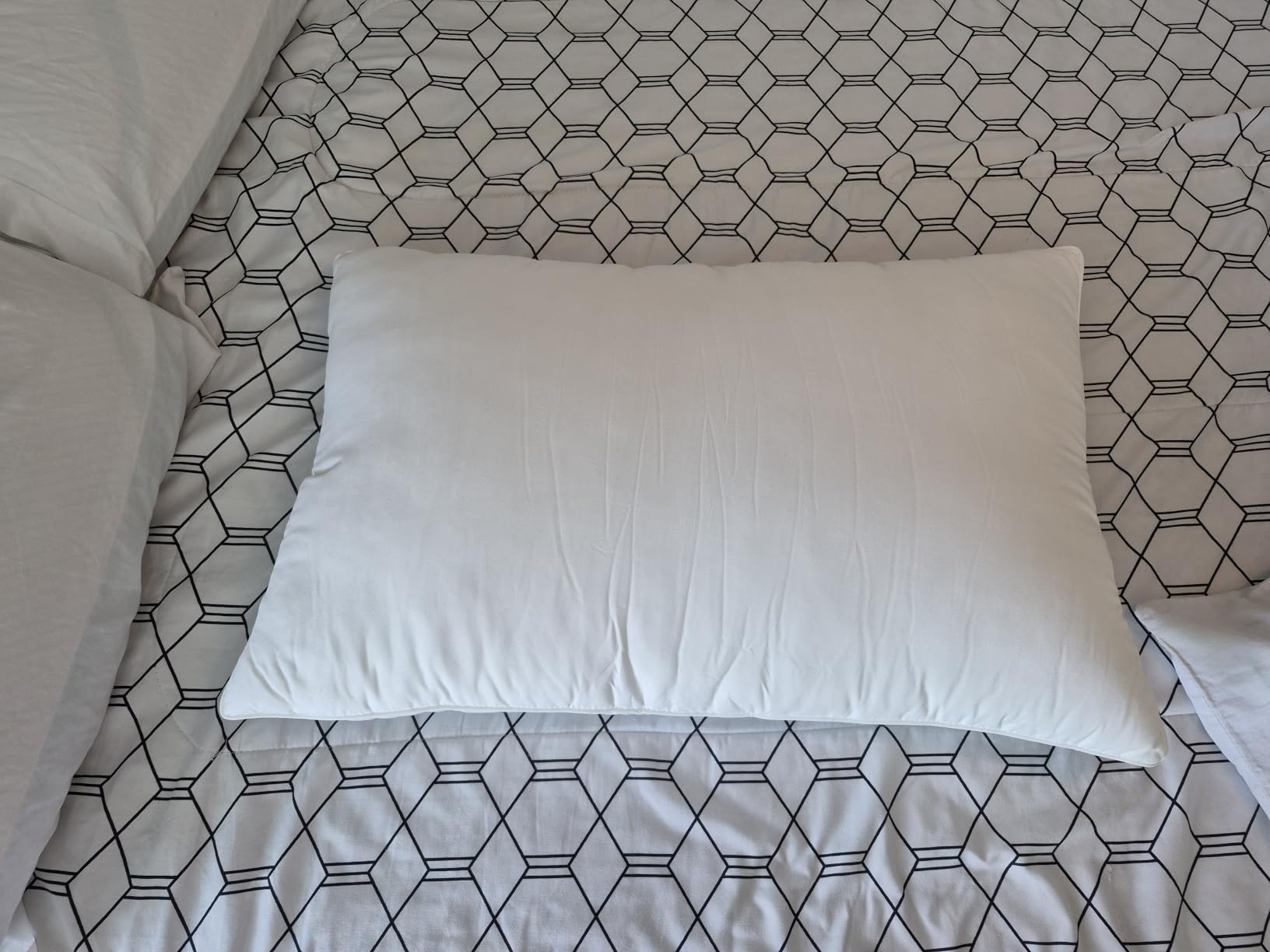 Canadian White Goose Down Pillows Pack of 1, 1450+ Fill Power Soft, 80% Goose Down and 20% Goose Feathers, 100% Cotton Shell Down Pillow for Hotel Bed Pillow, Queen Size customer photo 1