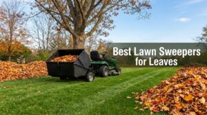 Best Lawn Sweepers for Leaves