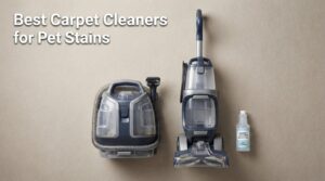 Best Carpet Cleaners for Pet Stains