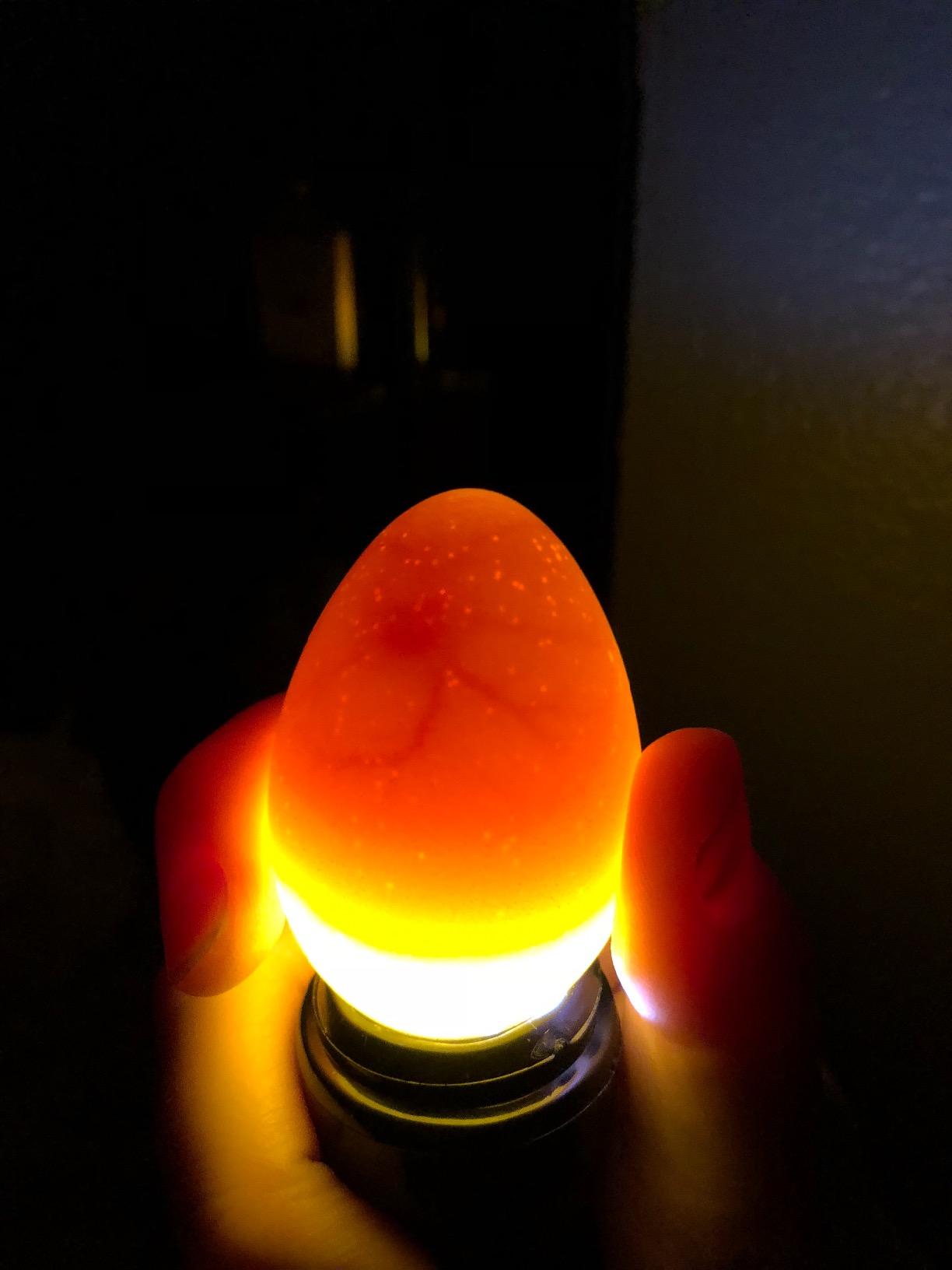 Magicfly Bright Cool LED Light Egg Candler Tester, Powered Only by Power Supply customer photo 2