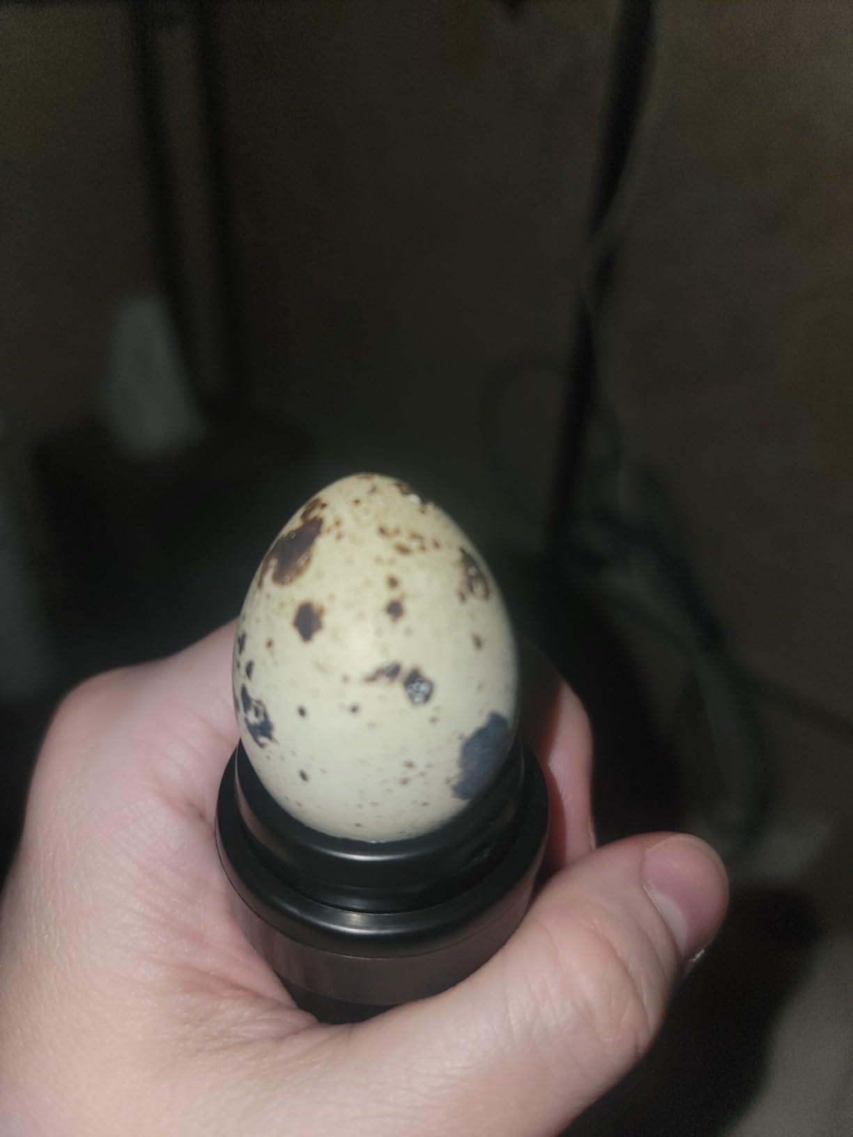 Magicfly Rechargeable Egg Candler Tester for Monitoring Eggs Development, Bright Cool LED Light Candling Lamp customer photo 1