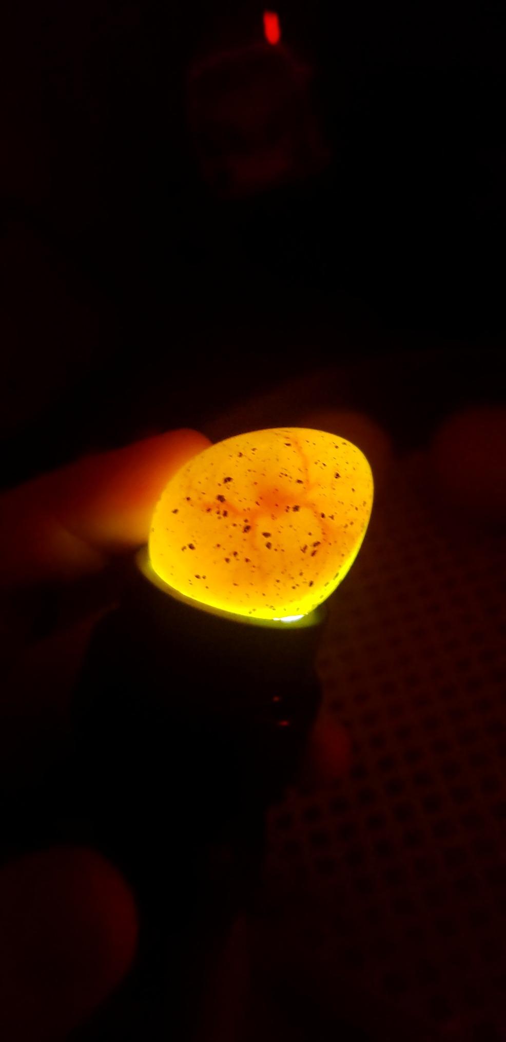 HBlife Wired LED Egg Candler, Bright Cool Light Egg Candler Tester for Monitoring Egg Development with 2 Soft Rubber customer photo 1