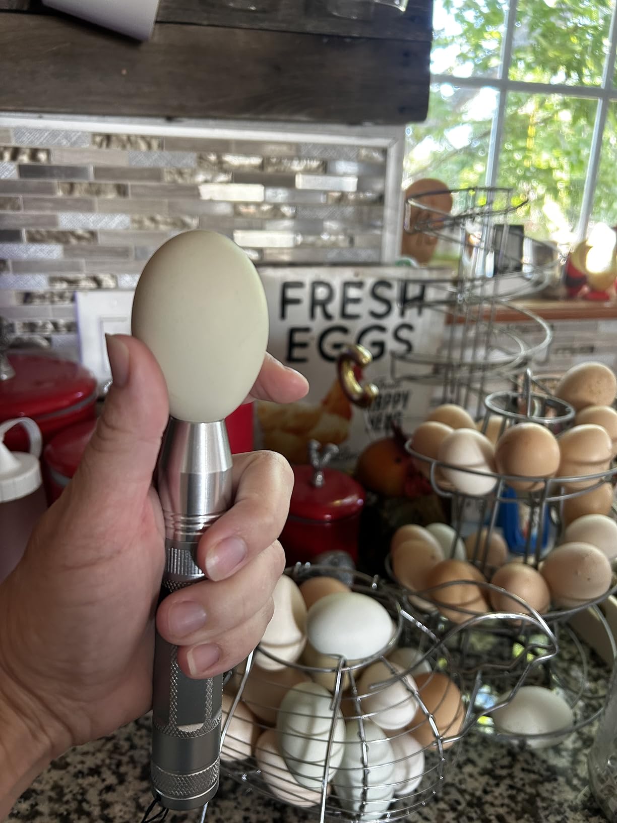 Egg Candler Light Tester Egg Candler Tester Candling Lamp for All Egg Typy customer photo 1