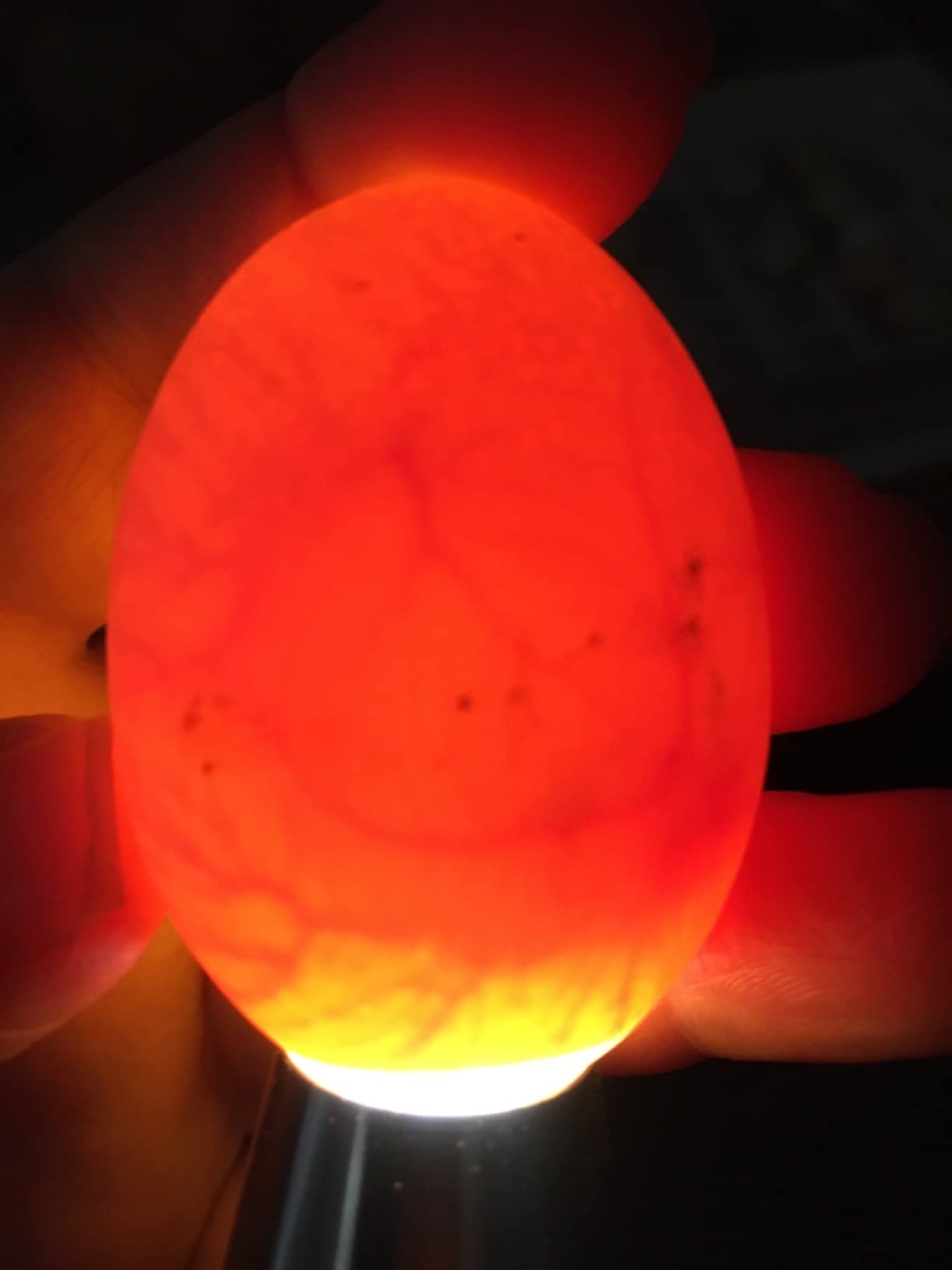 Egg Candler for Chicken Eggs, Rechargeable USB Egg Candling Light customer photo 1