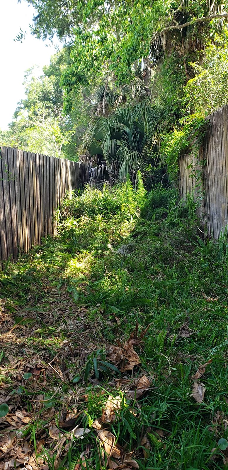 Walensee 39in Serrated Steel Scythe, Grass Whip for Tall Grass & Weeds customer photo 1