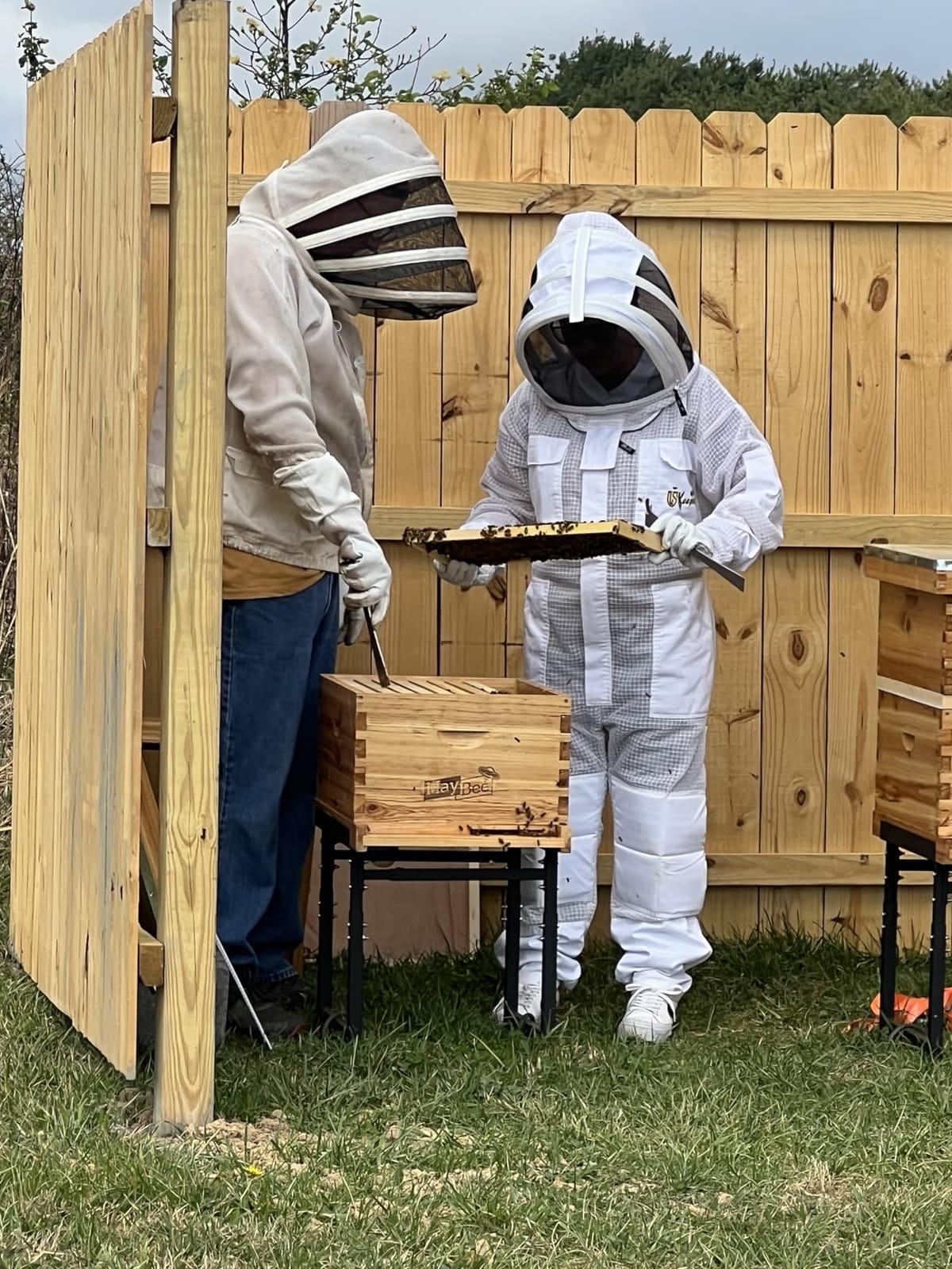 3-Layer Ultra Ventilated Sting Proof Bee Suit for Men & Women – Premium Beekeeping Suit with Bee Gloves & Two Detachable Beekeeping Veils (White 2XL) customer photo 1