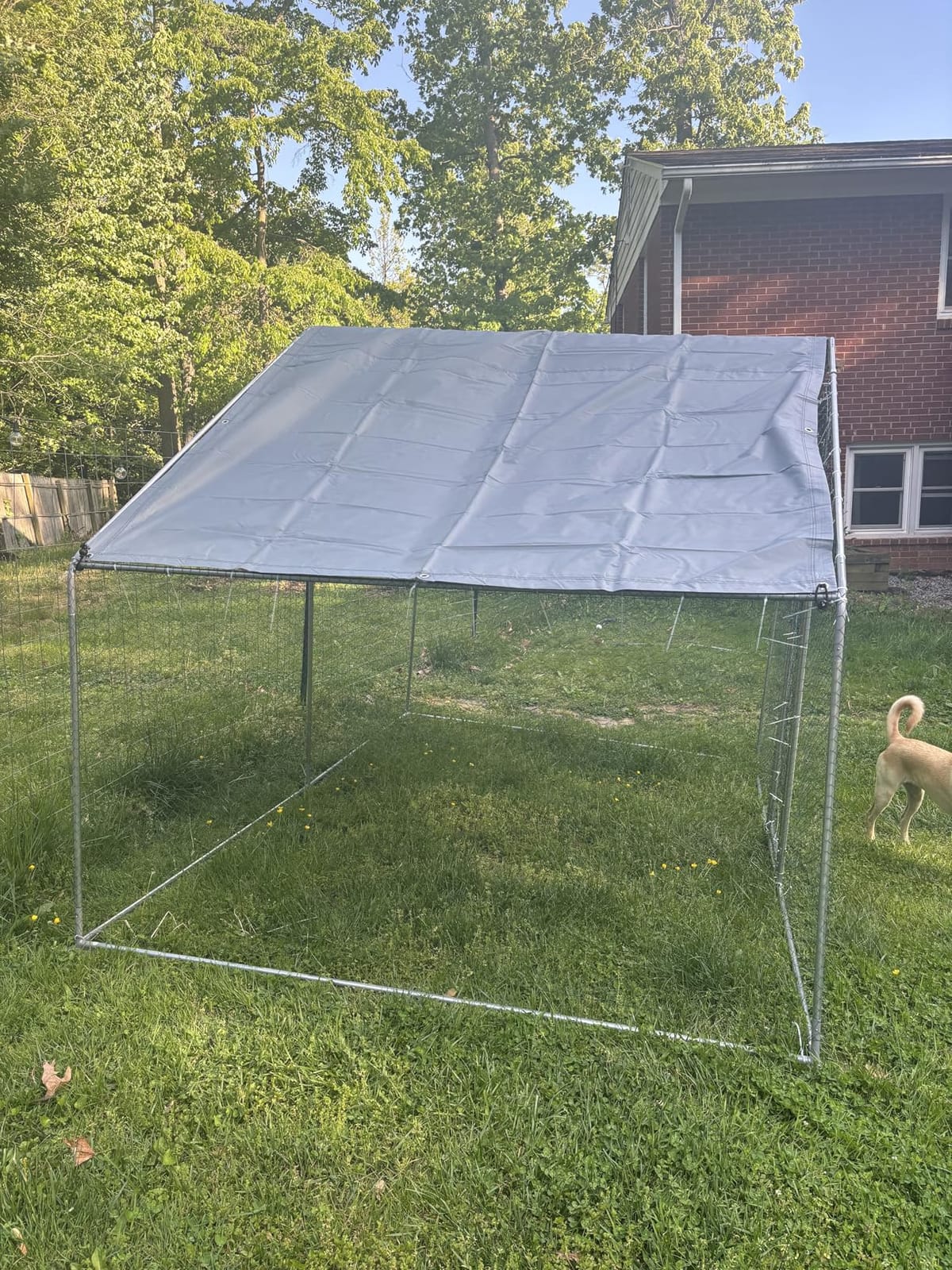Large Metal Chicken Coop Round Top Upgrade Tri-Supporting Wire Mesh Chicken Run,Chicken Pen with Water-Resident and Anti-UV Cover,Duck Rabbit House Outdoor (13'L x 9'W x 6.5'H) customer photo 2