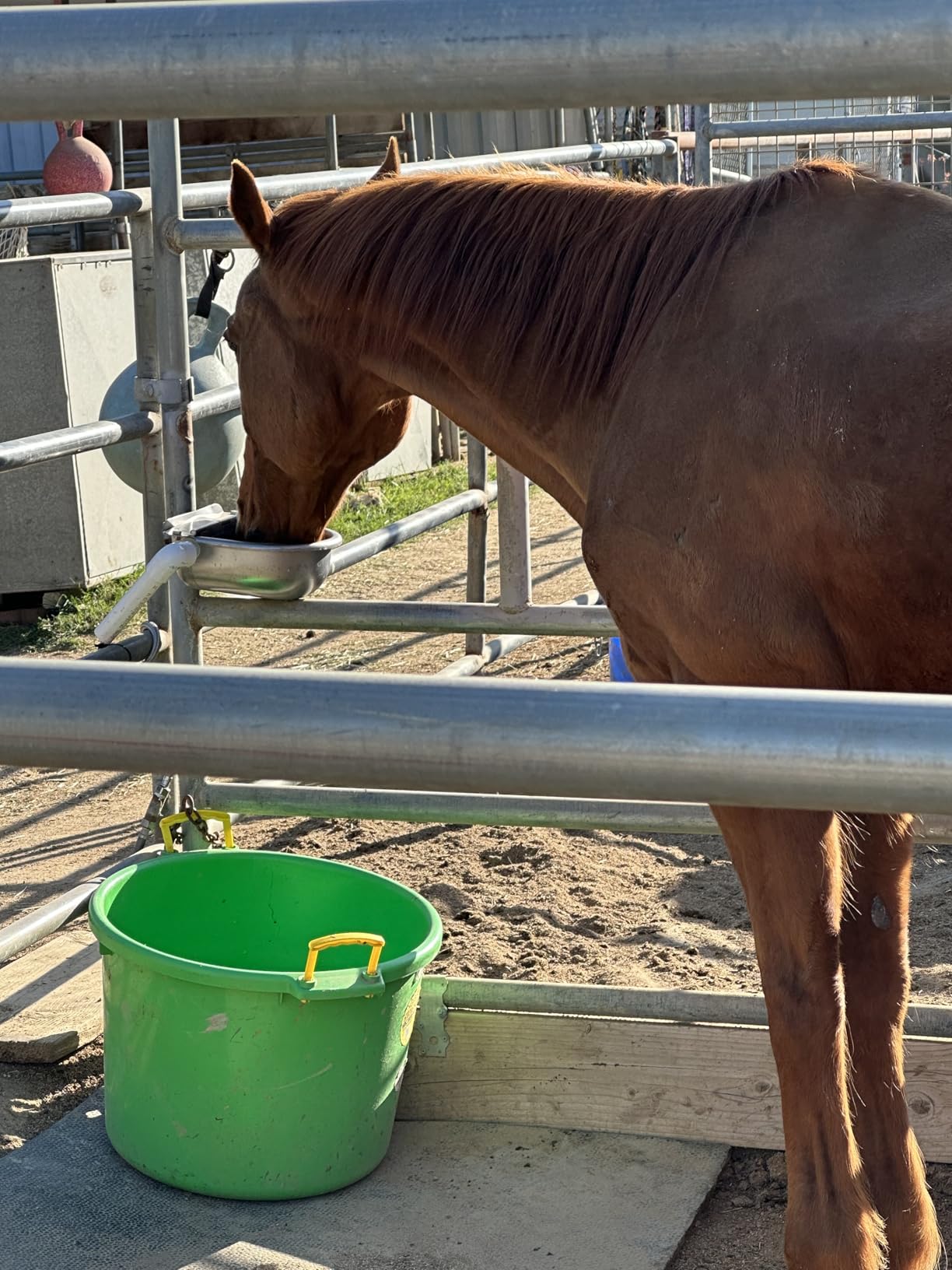 Automatic Animal Drinking Water Bowl, 304 Stainless Steel Waterer for Dog Horse Goat Pig Cow, Livestock Water Trough Dispenser with Pipe Hose, 2 Float Valves, Quick Connecter, Expansion Bolt customer photo 2