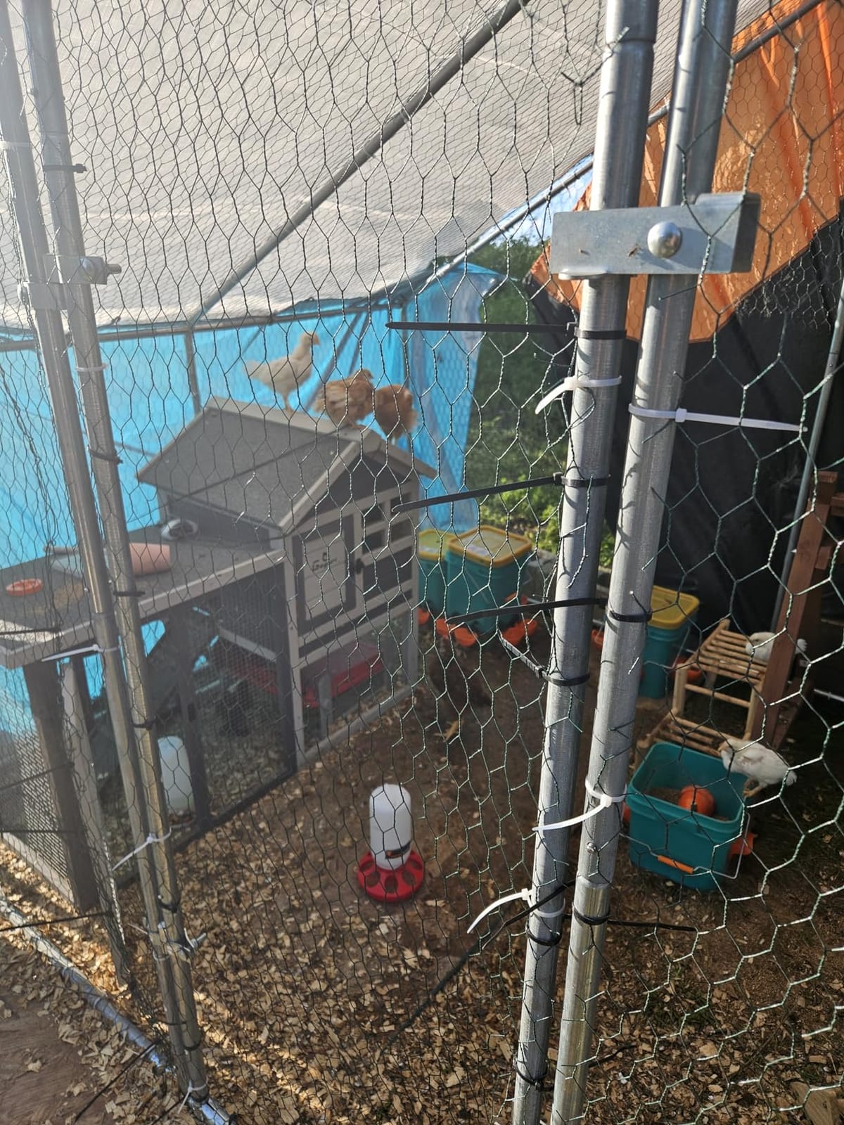GEGURI Wooden Rabbit Hutch, Indoor Outdoor Chicken Coop Bunny Cage with Waterproof Roof customer photo 2